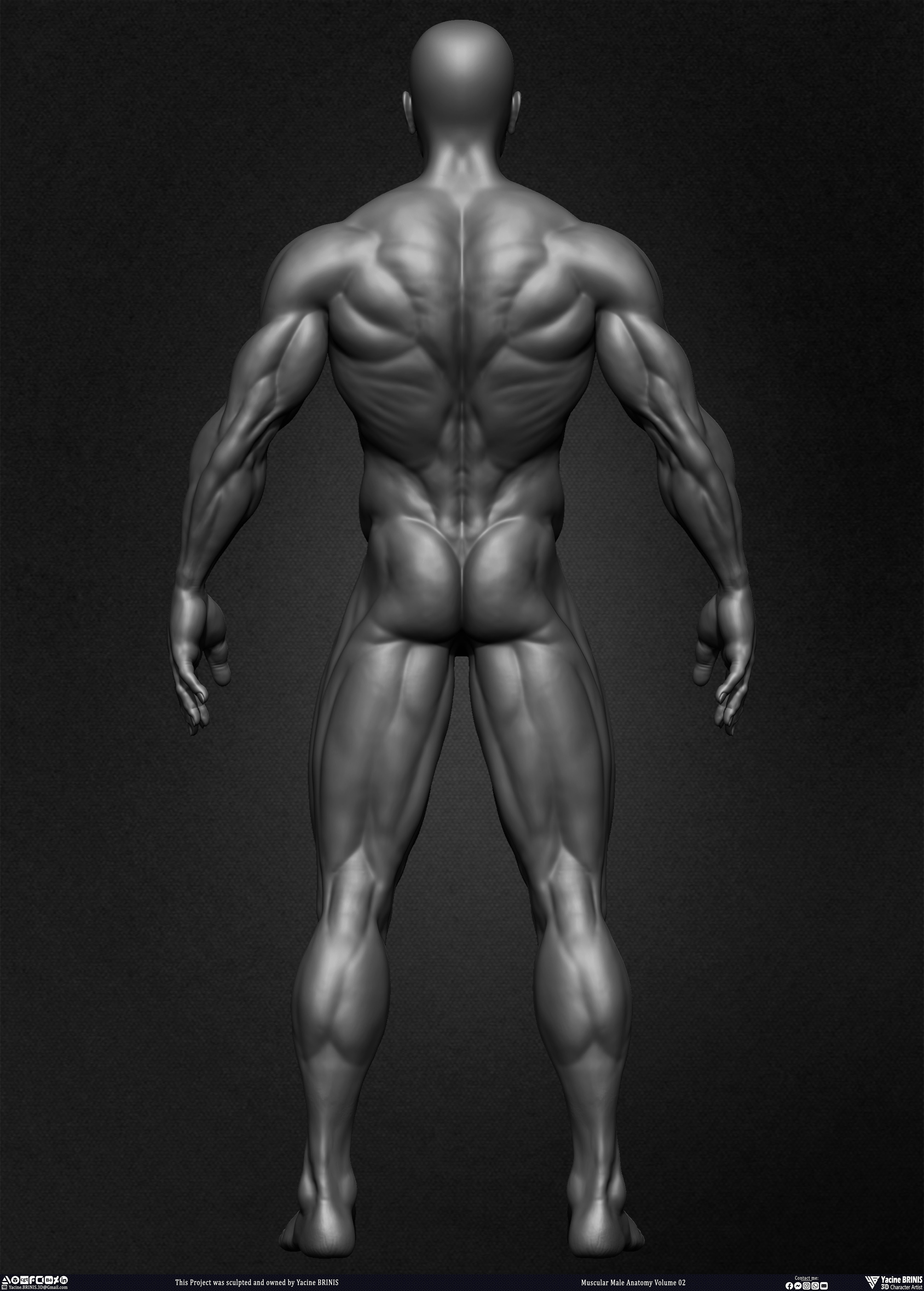 Muscular Male Anatomy Volume 2 3D Character sculpted by Yacine BRINIS 015