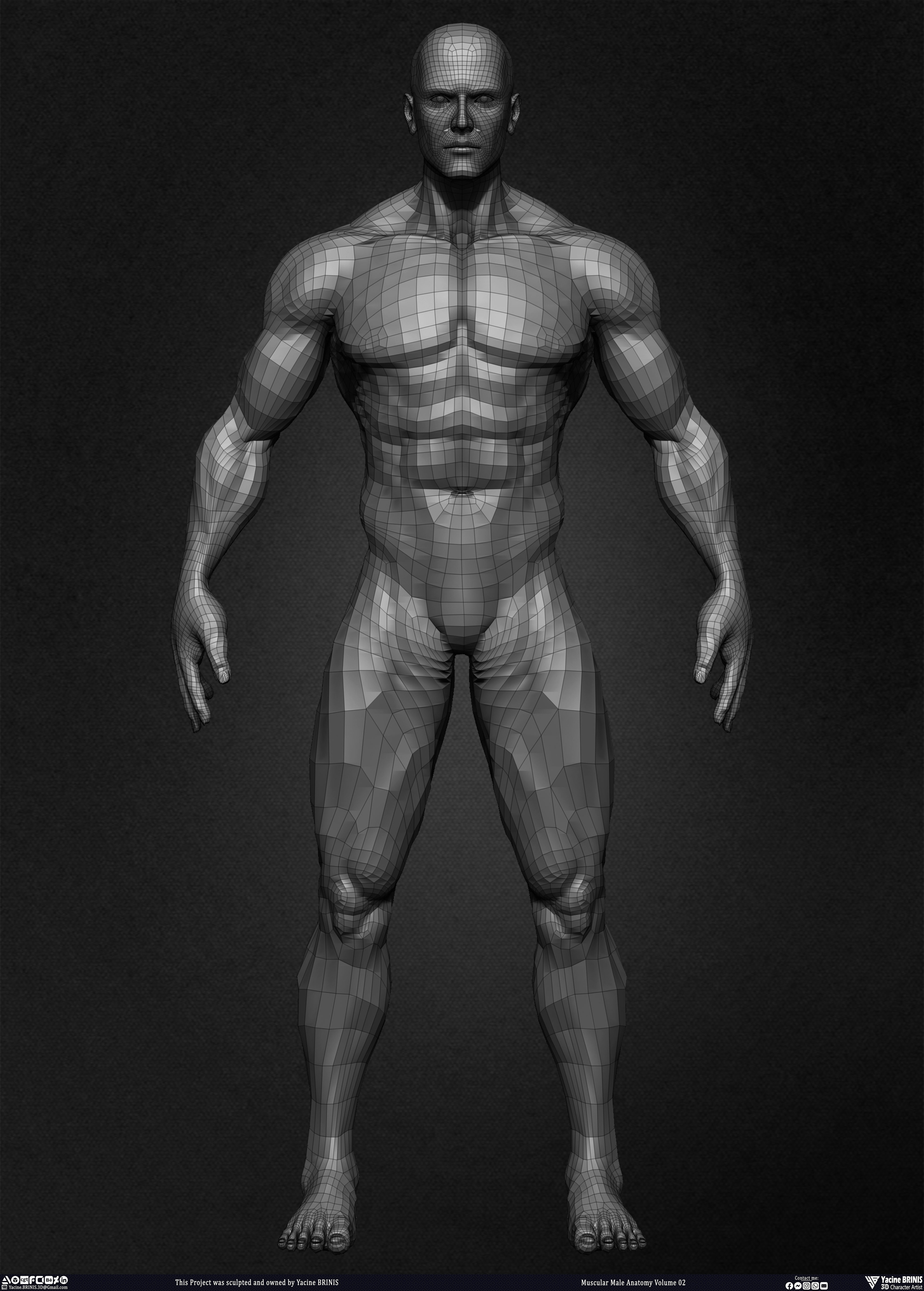 Muscular Male Anatomy Volume 2 3D Character sculpted by Yacine BRINIS 016