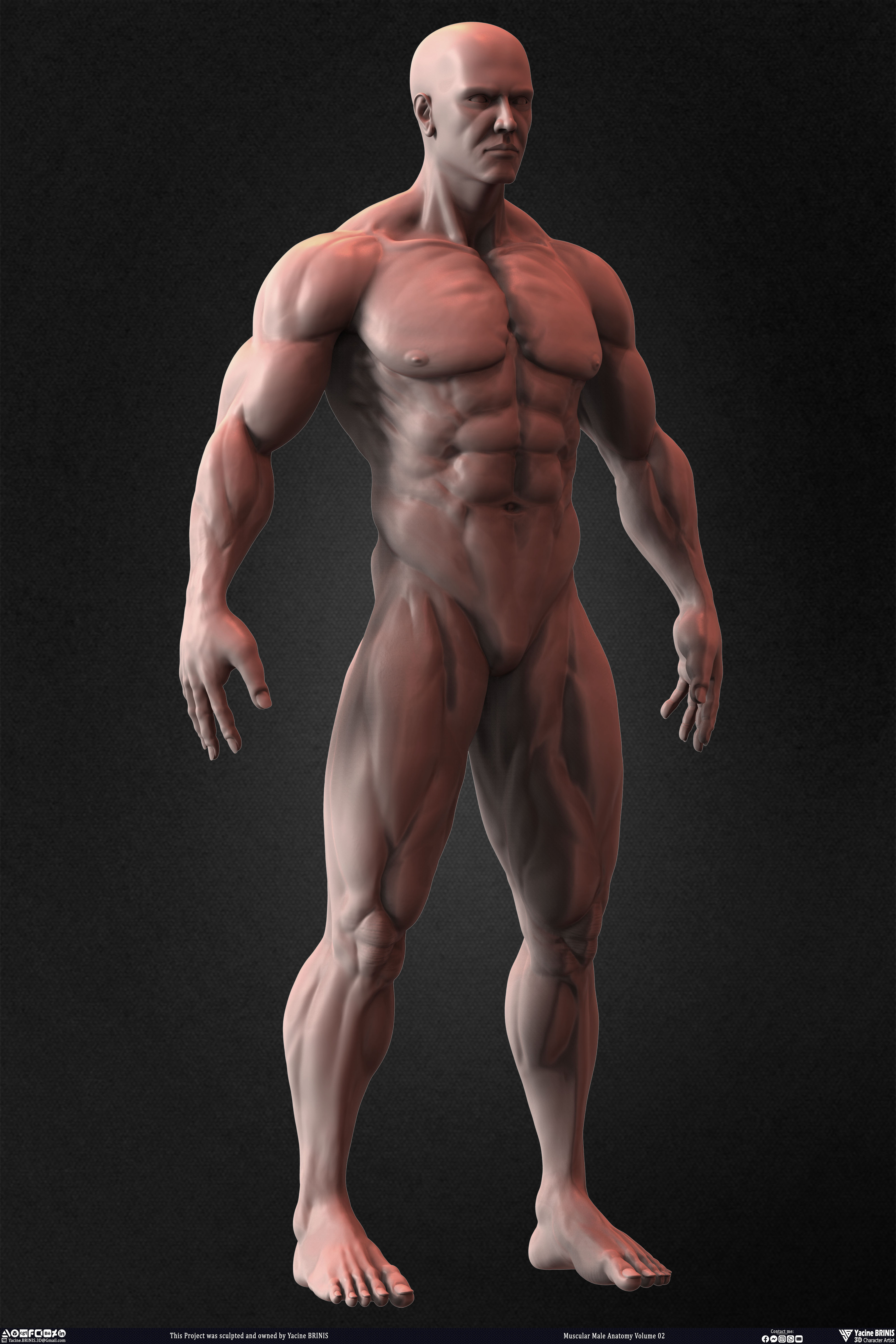 Muscular Male Anatomy Volume 2 3D Character sculpted by Yacine BRINIS 022