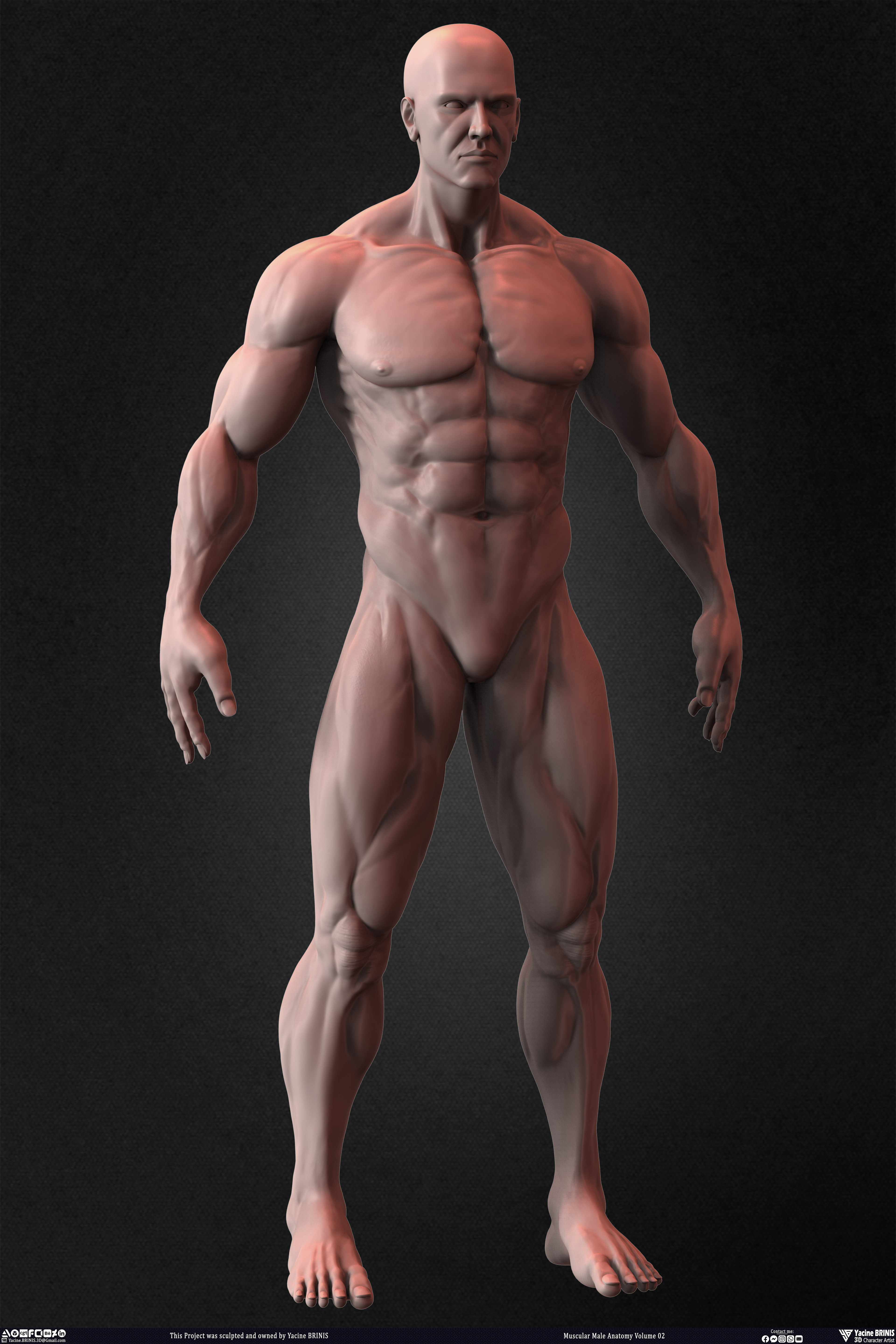 Muscular Male Anatomy Volume 2 3D Character sculpted by Yacine BRINIS 024