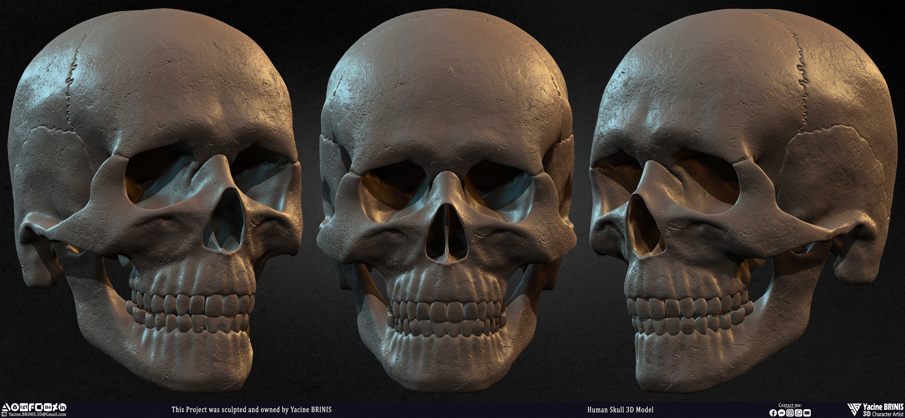 Human Skull 3D Model sculpted by Yacine BRINIS 001