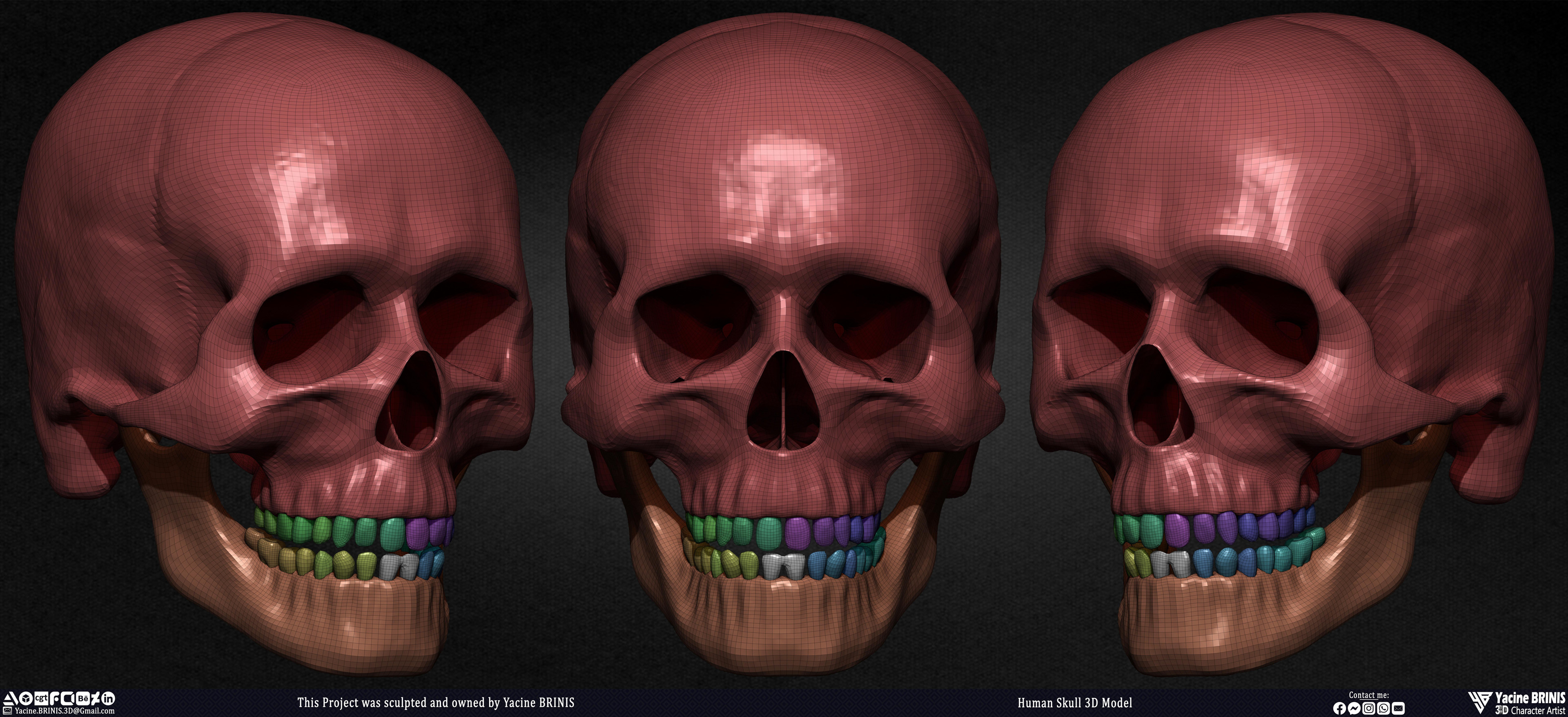 Human Skull 3D Model sculpted by Yacine BRINIS 004