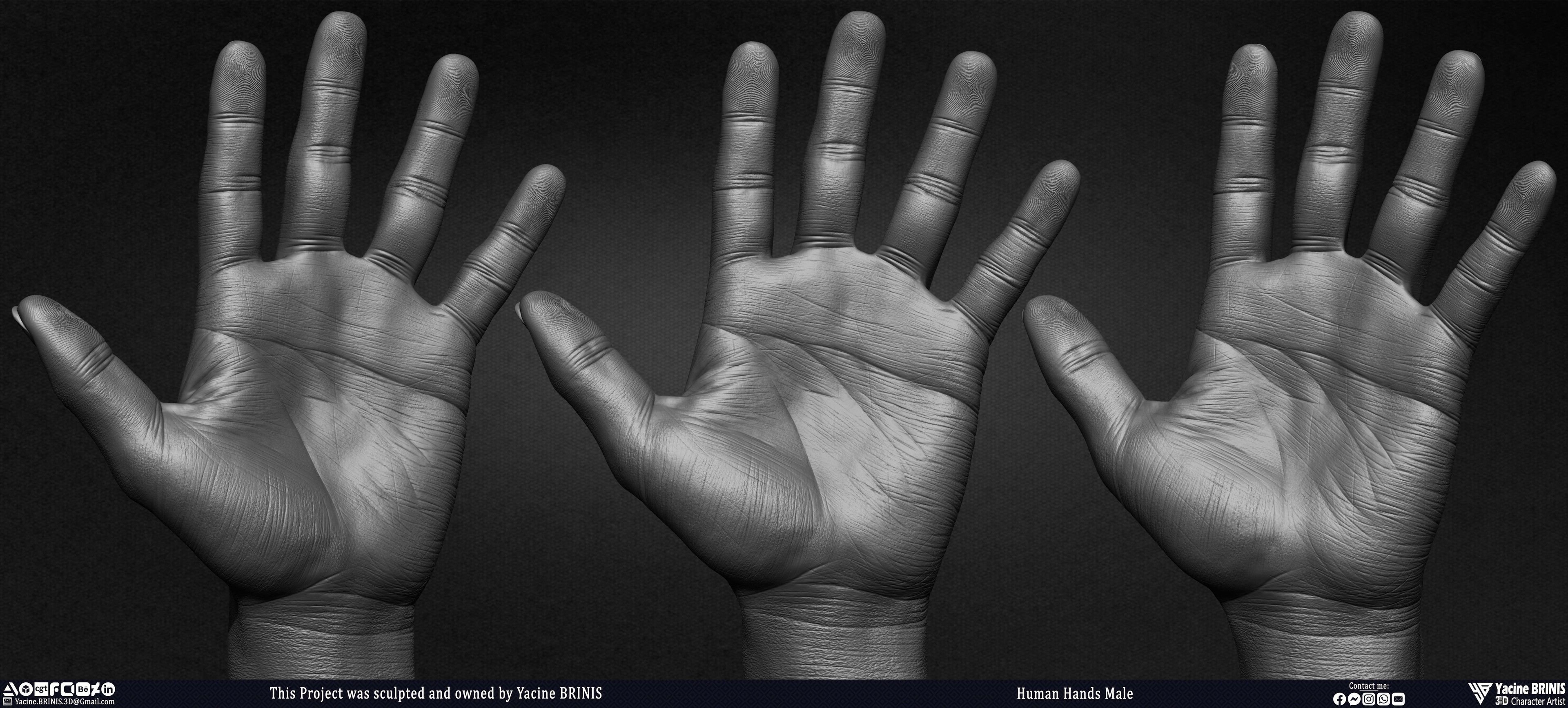 Human Hands Male Basemesh 3D Model sculpted by Yacine BRINIS 002