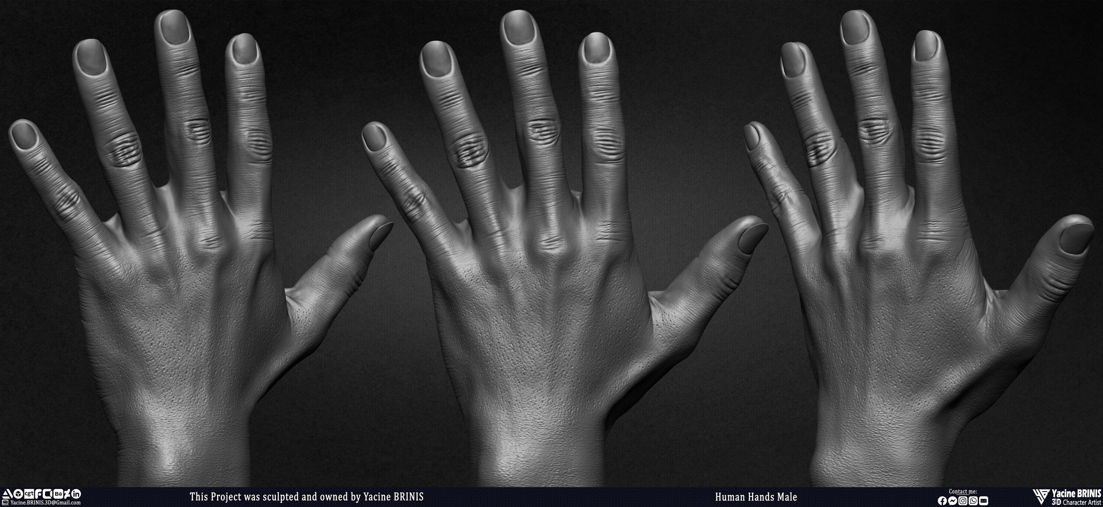 Human Hands Male Basemesh 3D Model sculpted by Yacine BRINIS 004
