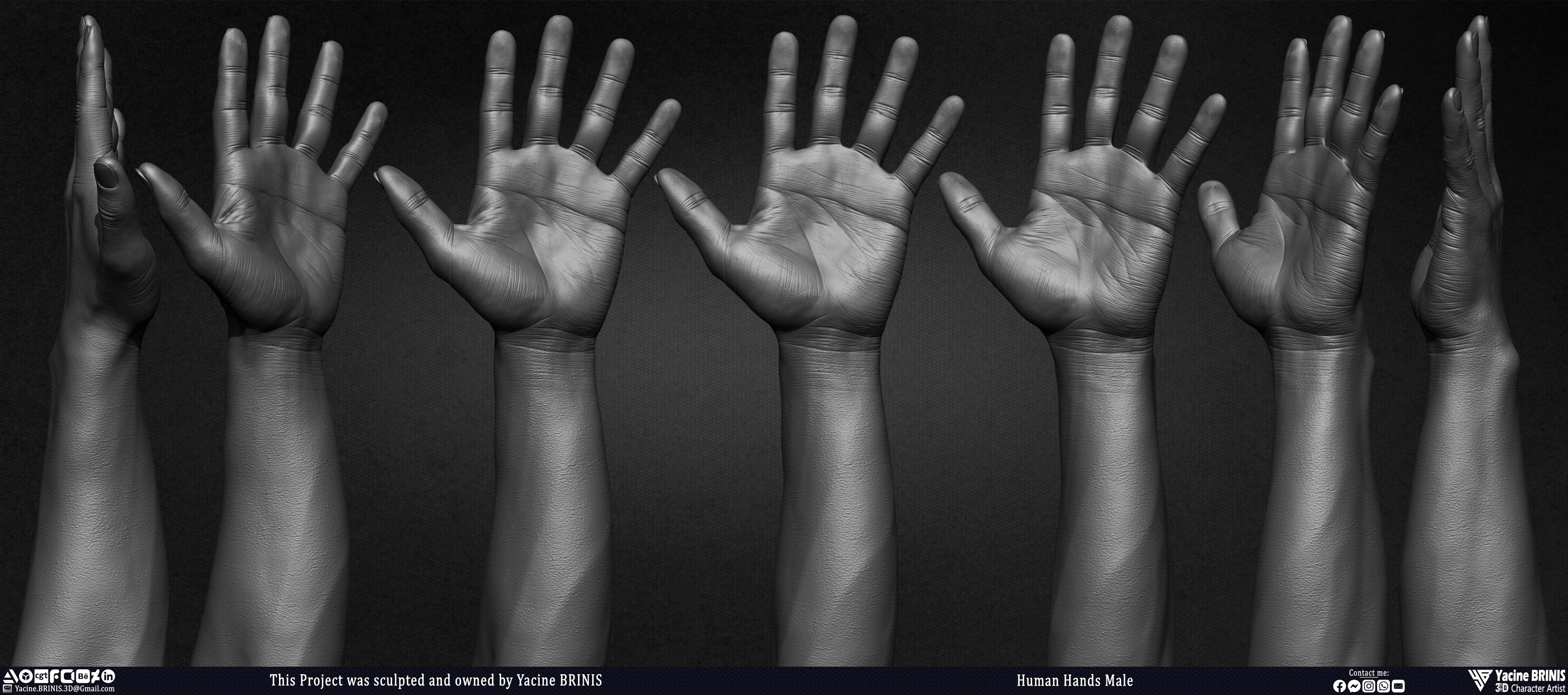Human Hands Male Basemesh 3D Model sculpted by Yacine BRINIS 009