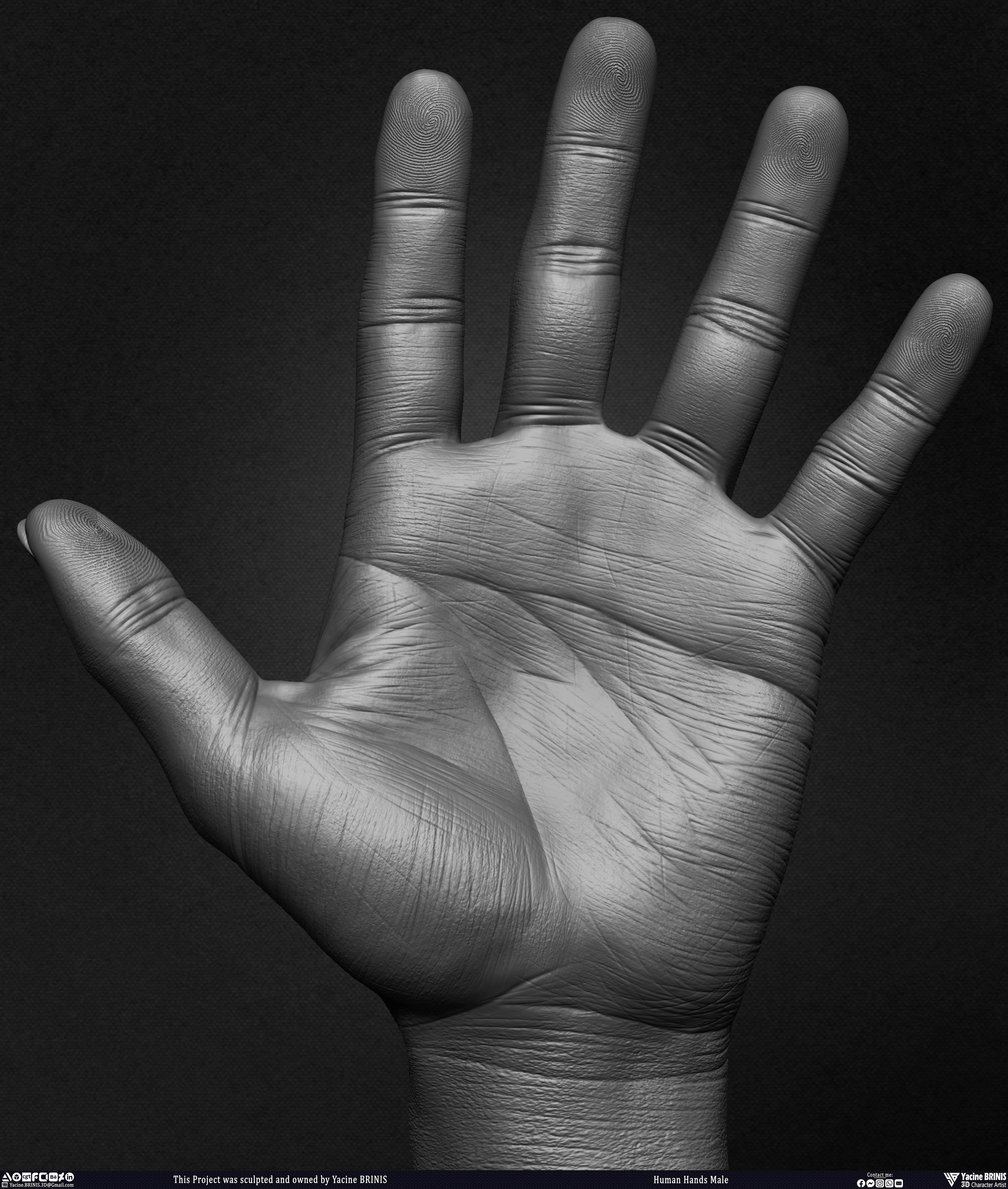Human Hands Male Basemesh 3D Model sculpted by Yacine BRINIS 012