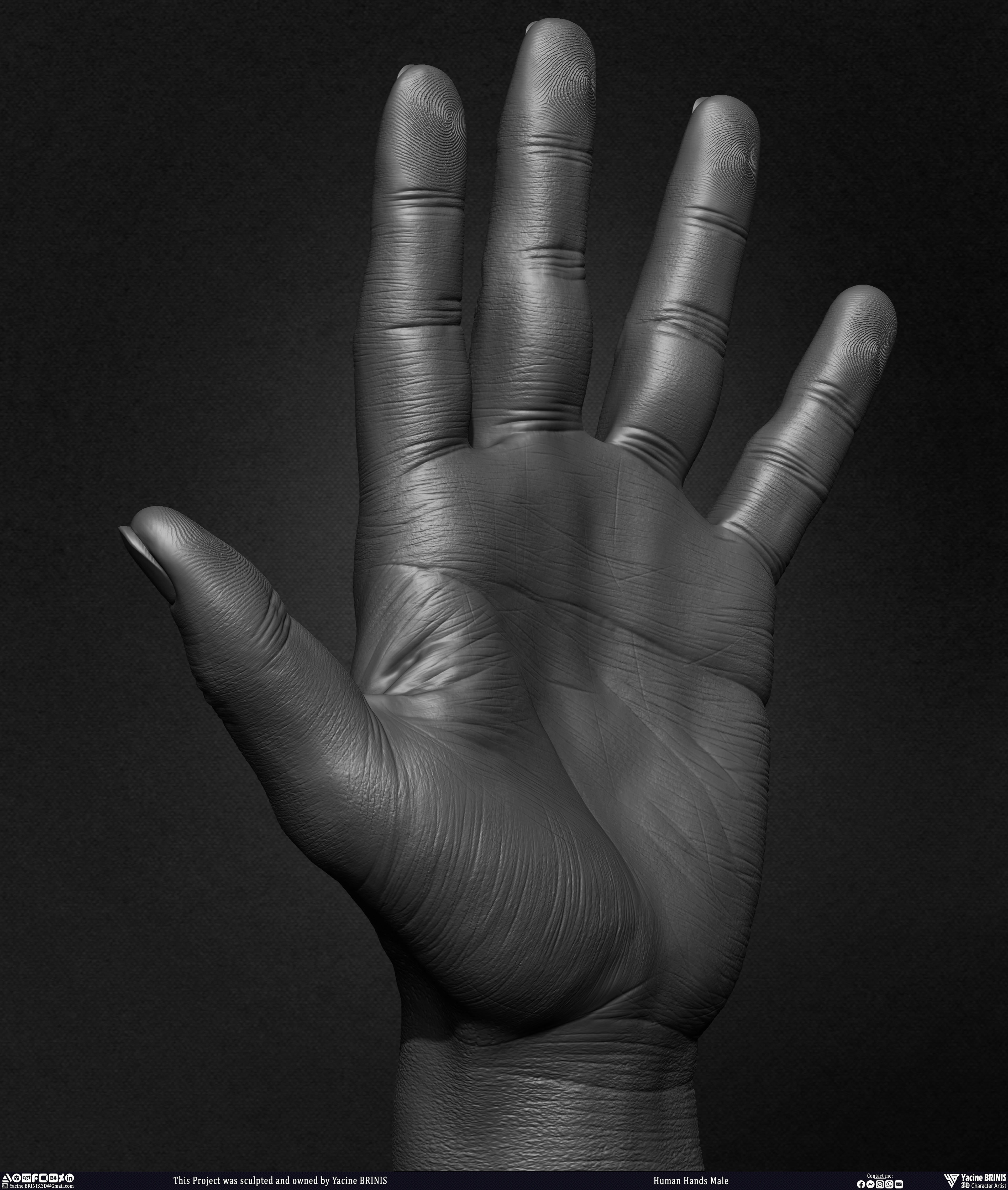 Human Hands Male Basemesh 3D Model sculpted by Yacine BRINIS 017