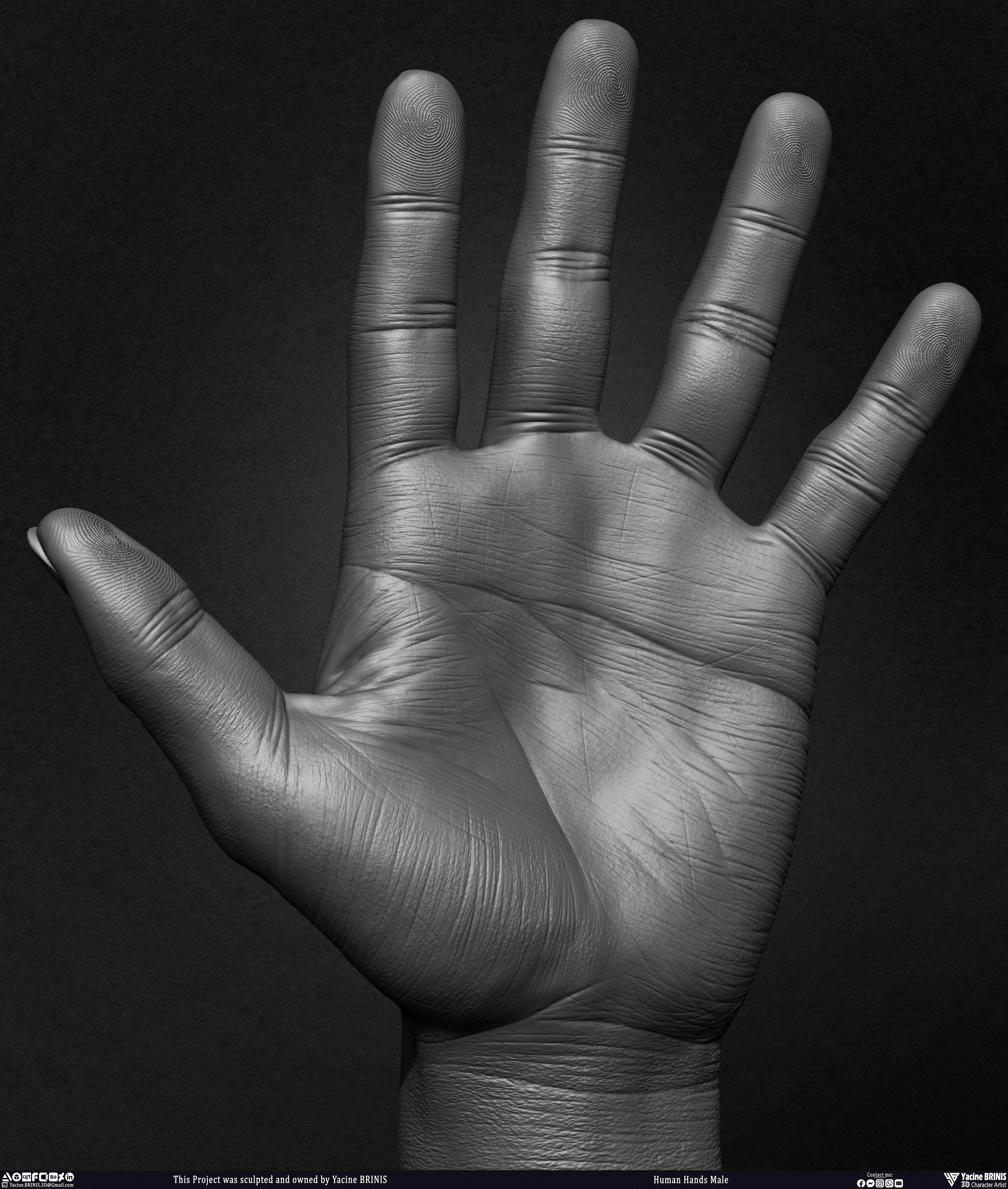 Human Hands Male Basemesh 3D Model sculpted by Yacine BRINIS 018