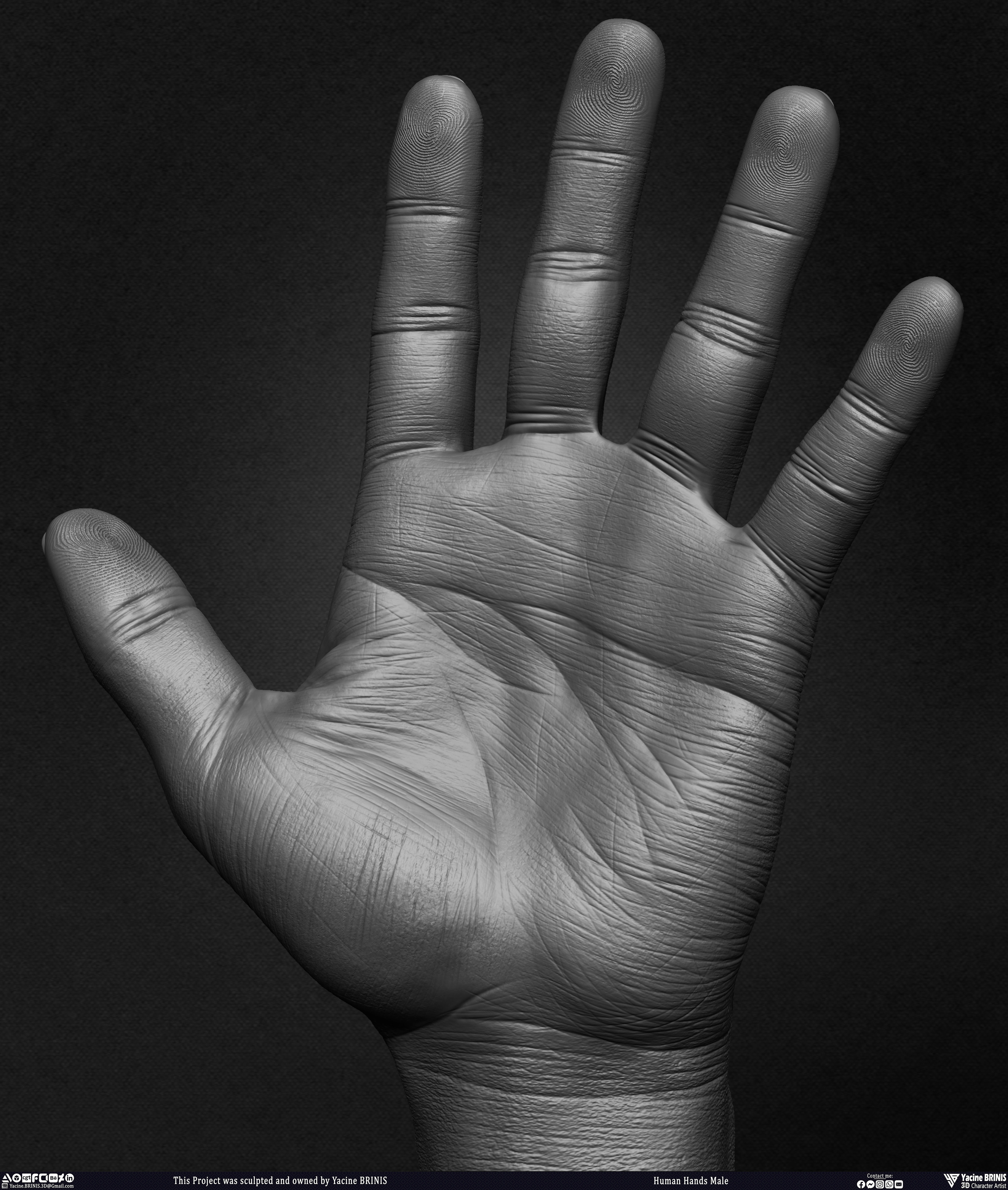 Human Hands Male Basemesh 3D Model sculpted by Yacine BRINIS 019