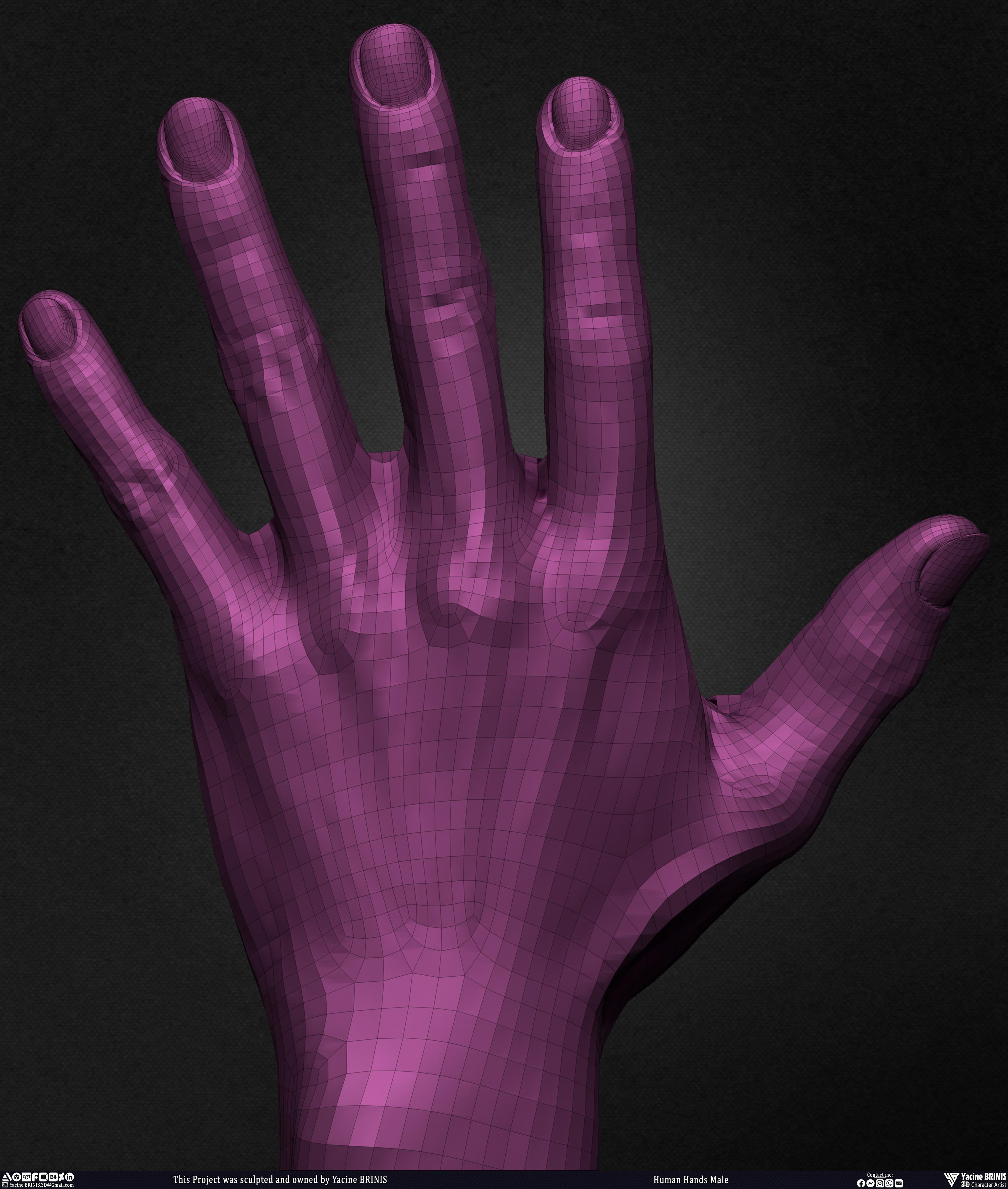Human Hands Male Basemesh 3D Model sculpted by Yacine BRINIS 022