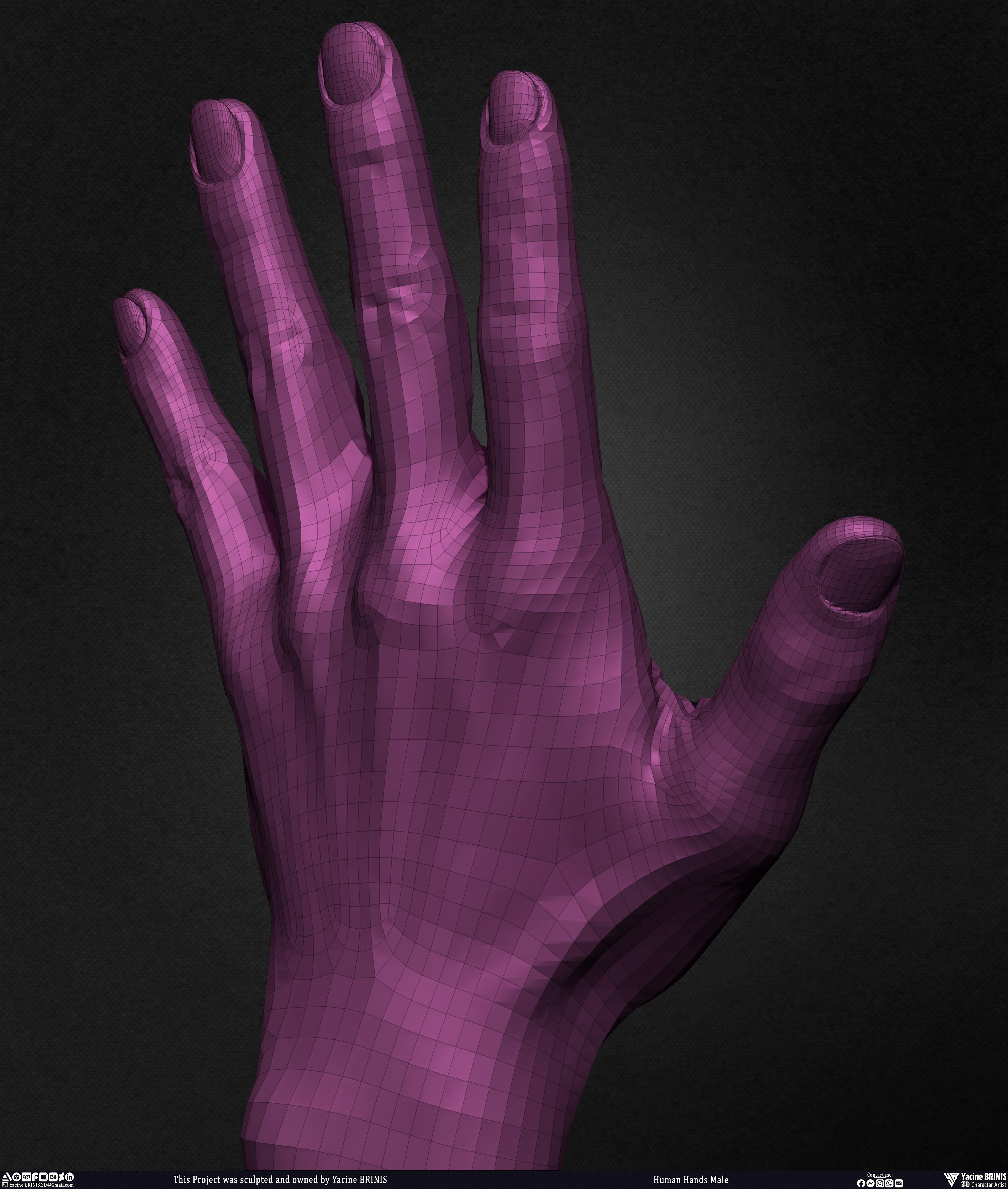 Human Hands Male Basemesh 3D Model sculpted by Yacine BRINIS 023