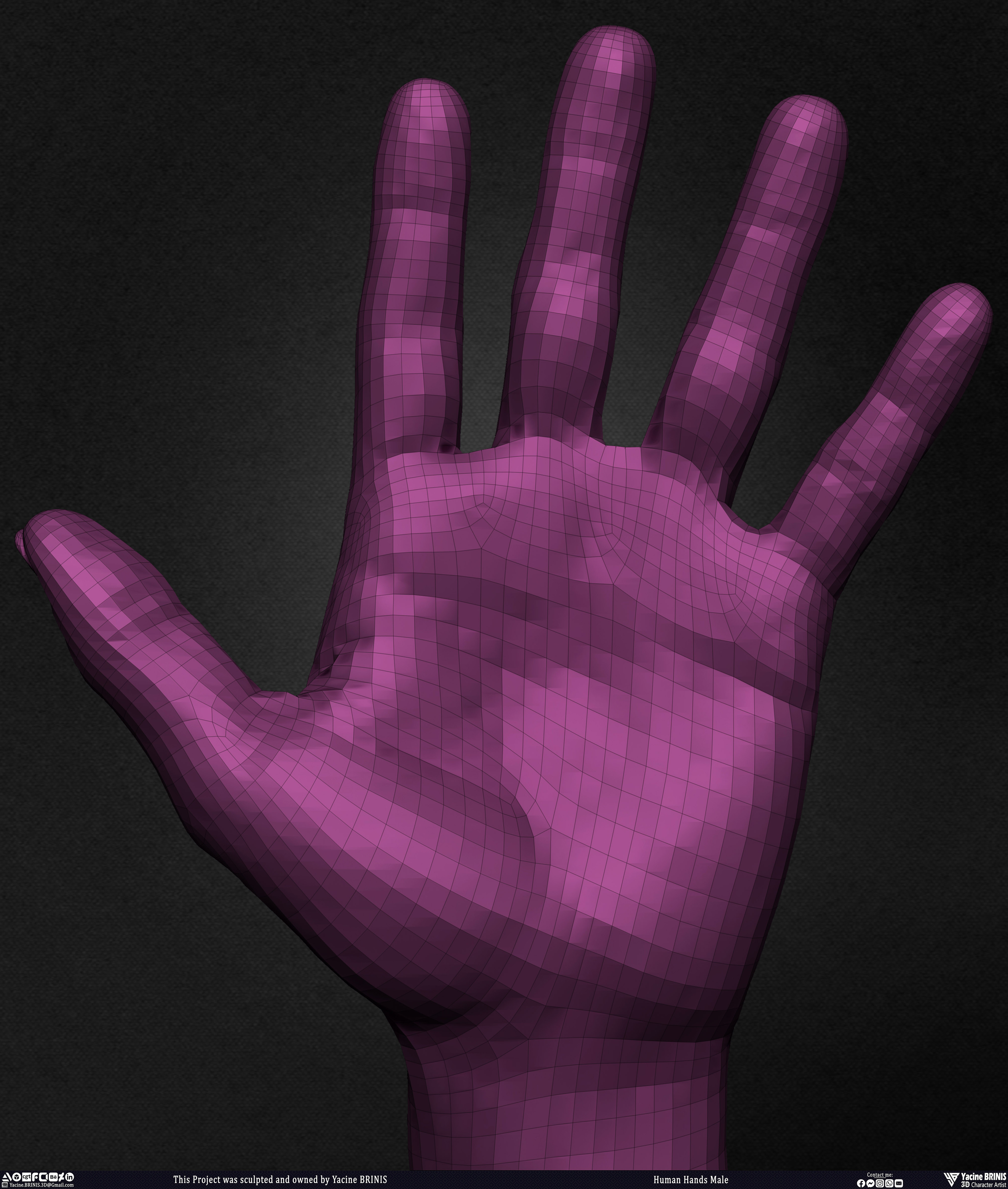 Human Hands Male Basemesh 3D Model sculpted by Yacine BRINIS 024