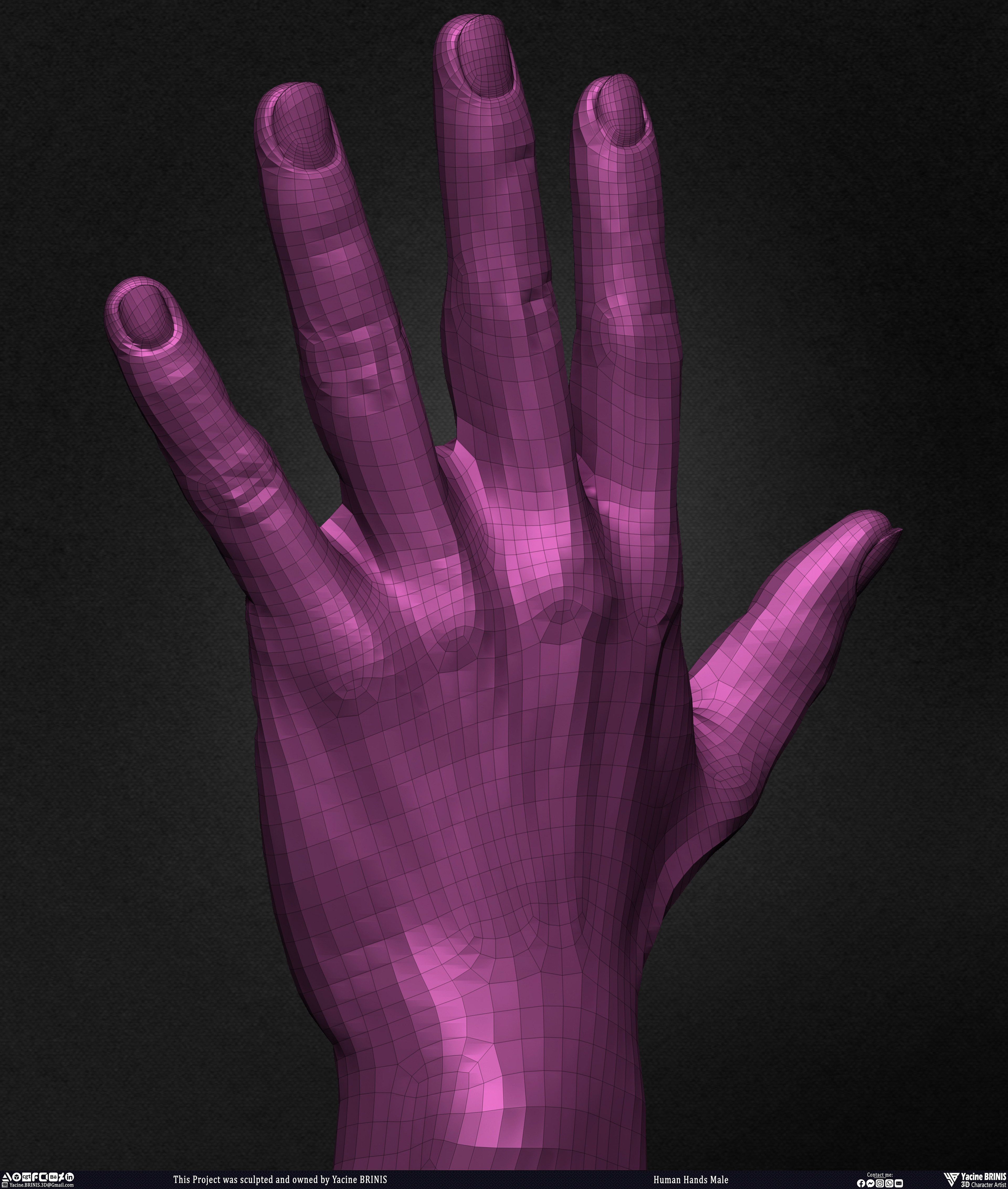 Human Hands Male Basemesh 3D Model sculpted by Yacine BRINIS 025