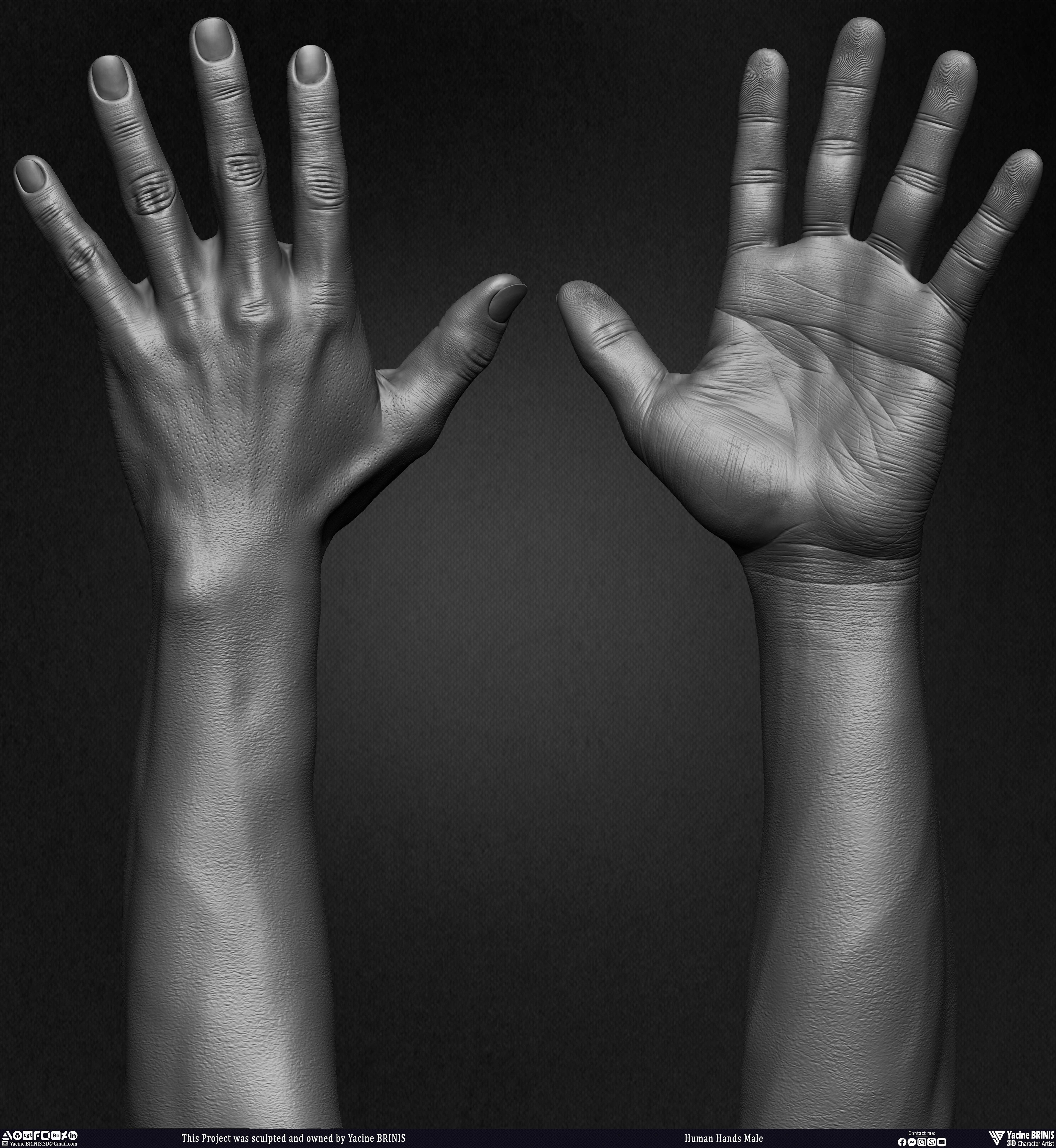 Human Hands Male Basemesh 3D Model sculpted by Yacine BRINIS 028