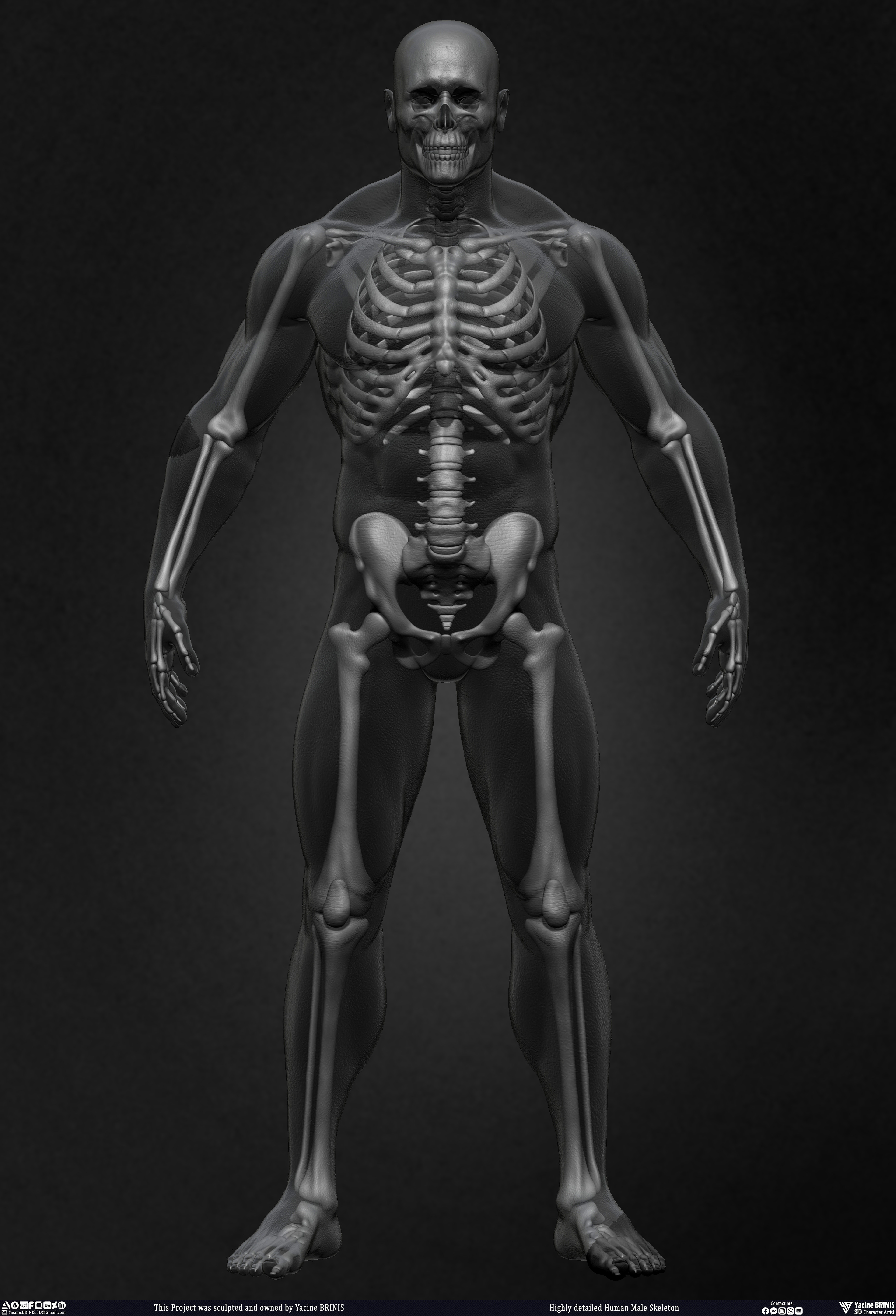 Highly Detailed Human Skeleton 3D Model sculpted by Yacine BRINIS 012