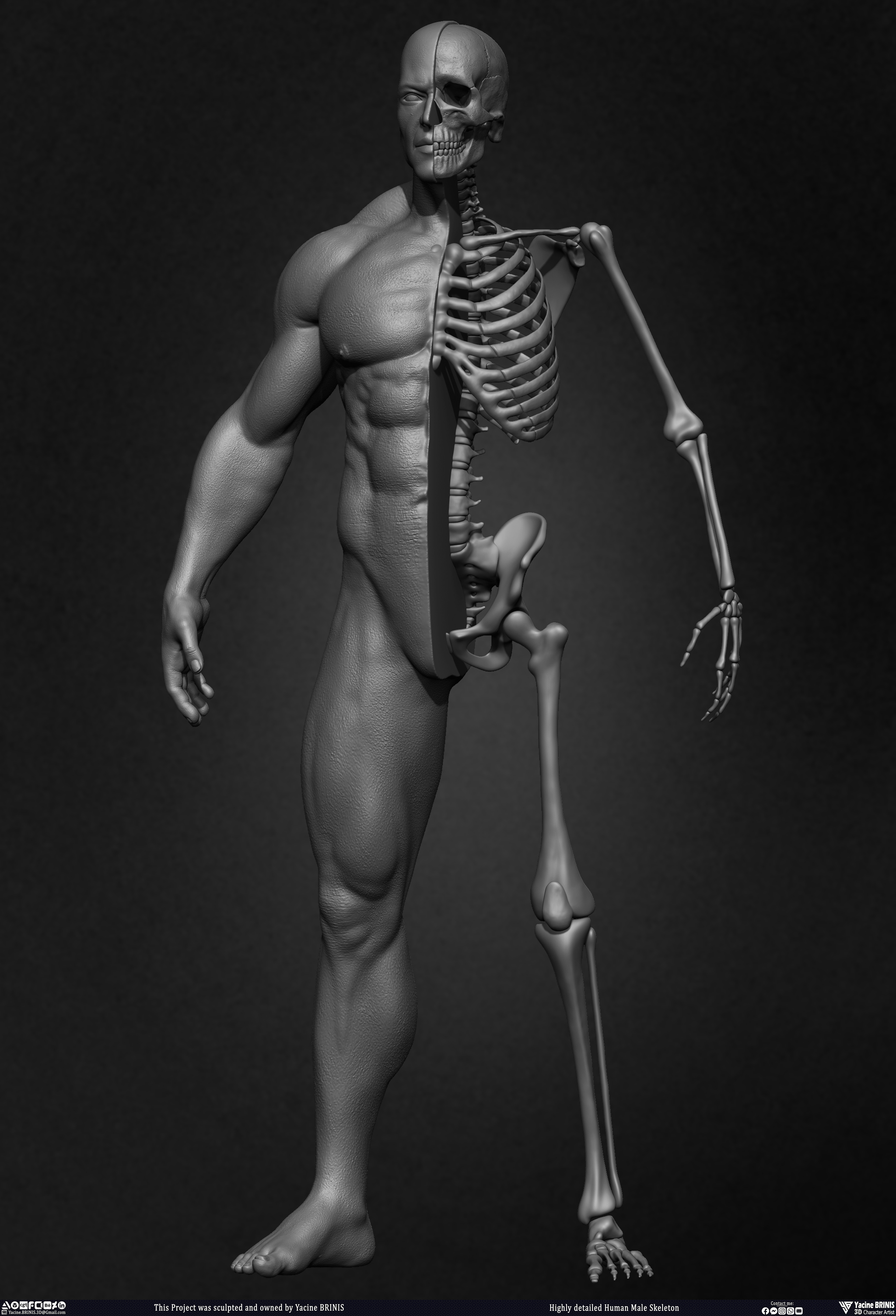 Highly Detailed Human Skeleton 3D Model sculpted by Yacine BRINIS 016