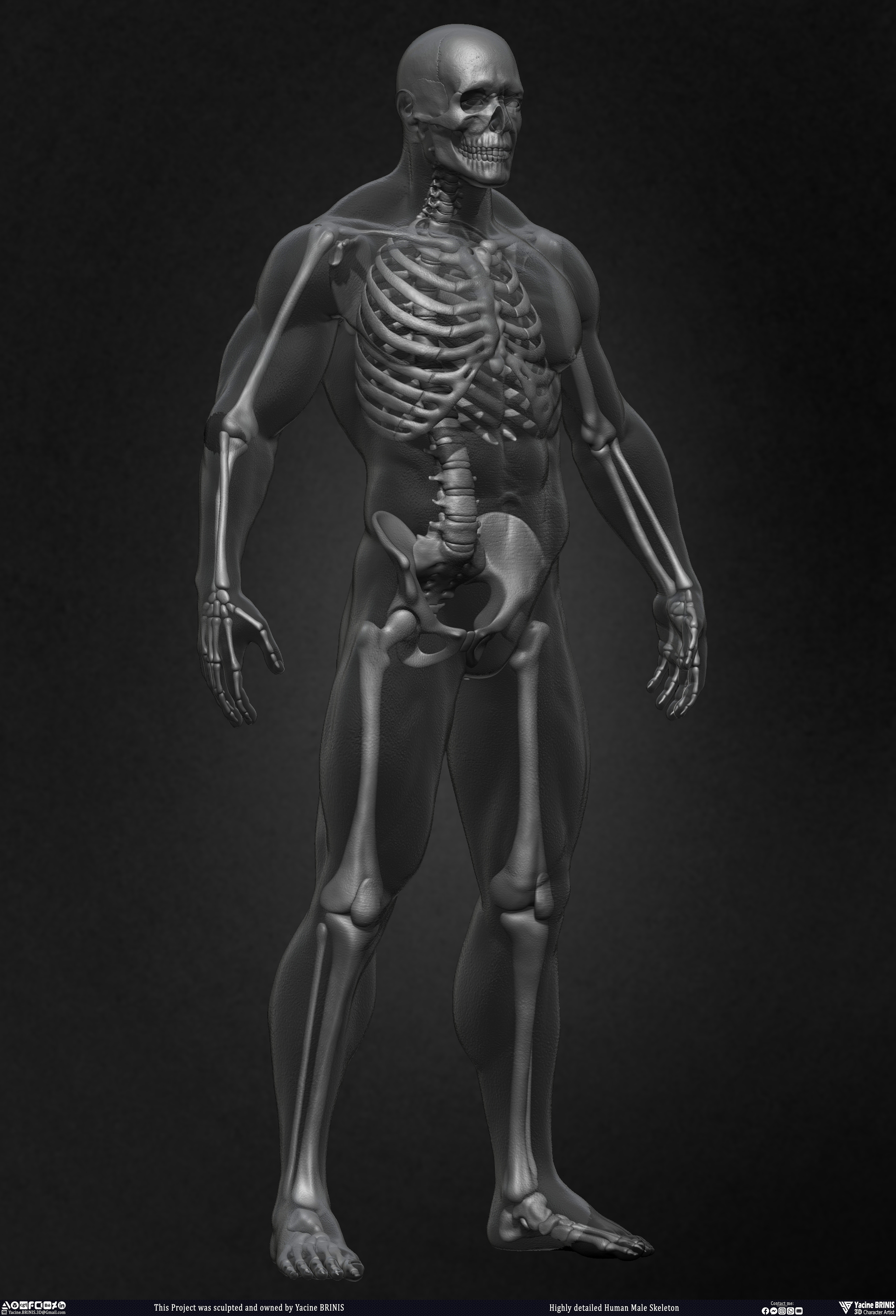 Highly Detailed Human Skeleton 3D Model sculpted by Yacine BRINIS 018
