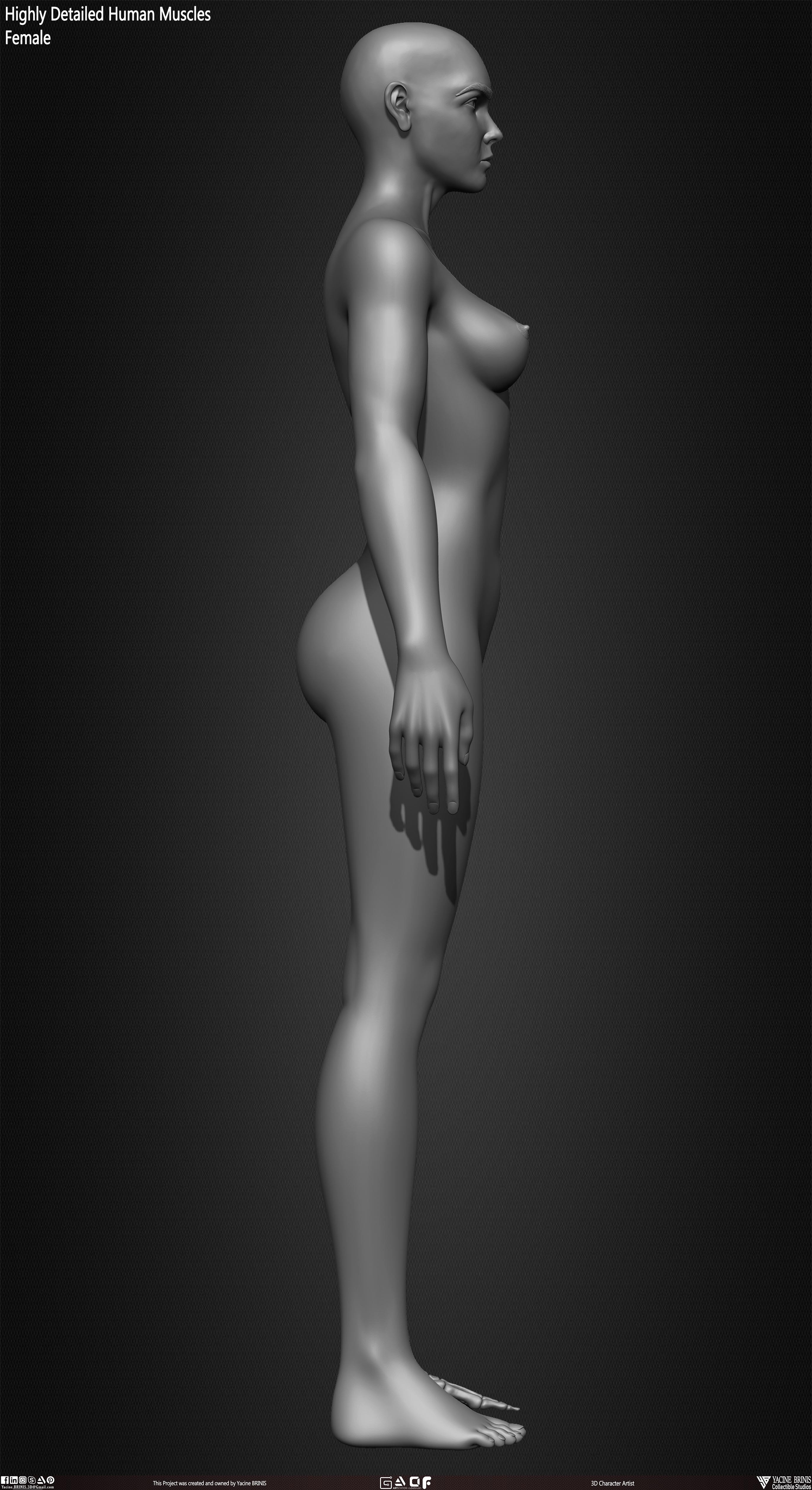 Female Human Skeleton 3D Model sculpted by Yacine BRINIS 019