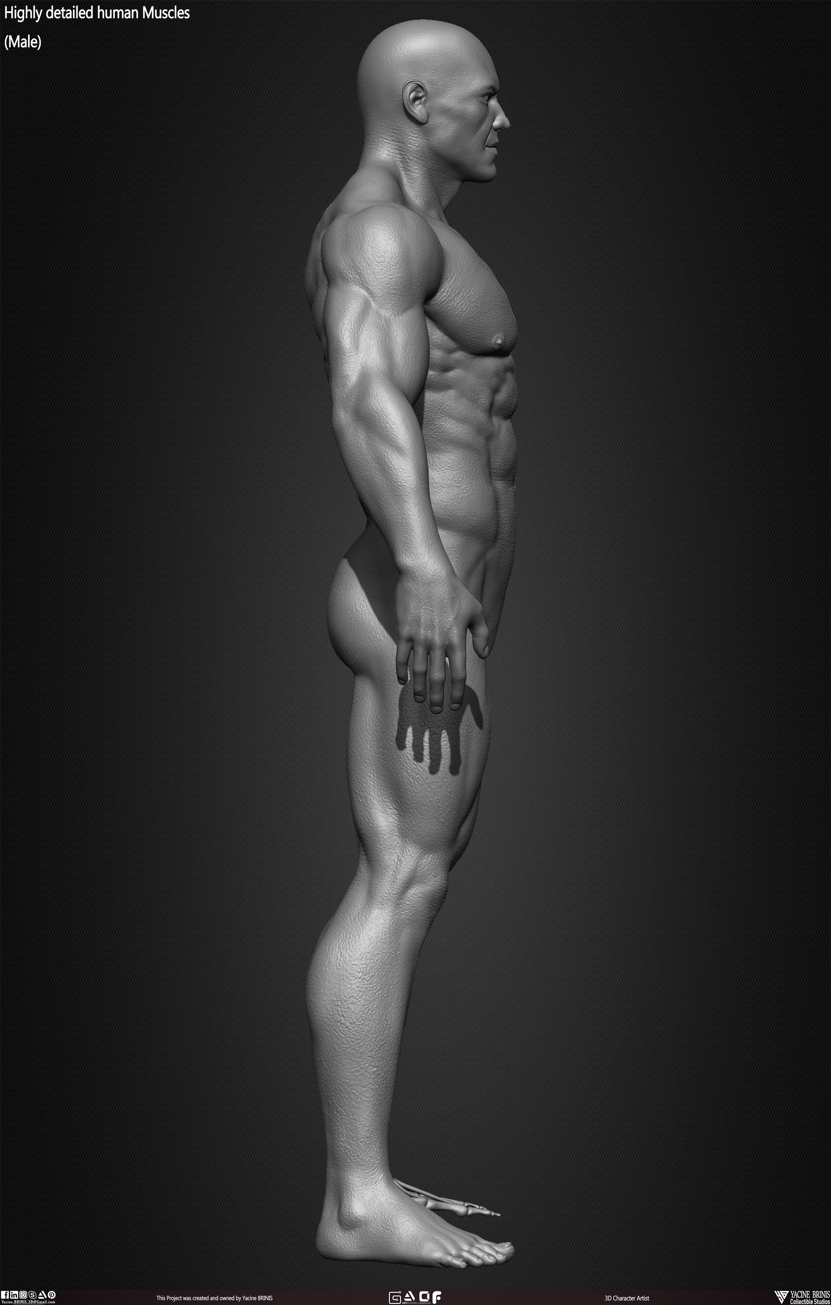 Male Human Muscles 3D Model sculpted by Yacine BRINIS 031