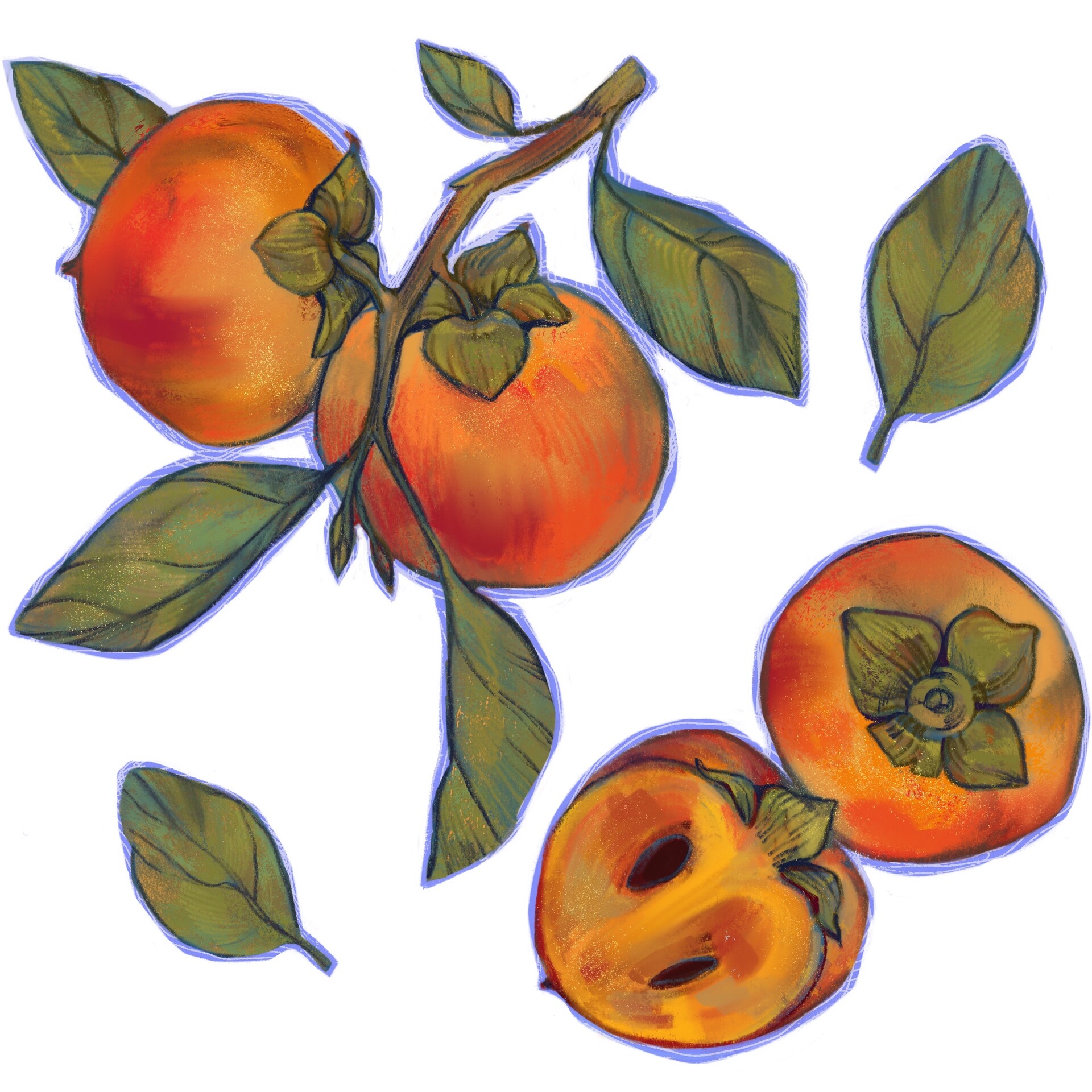 ArtStation - Fruits and herbs of Azerbaijan