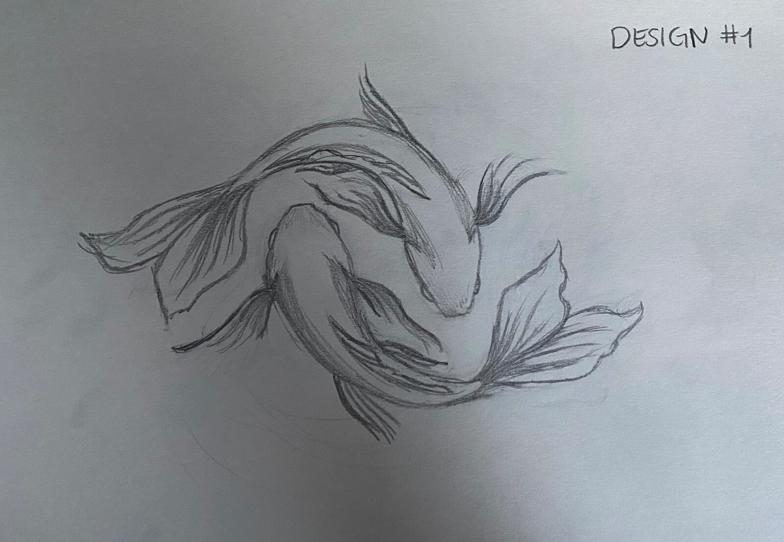 Sketch of koifish