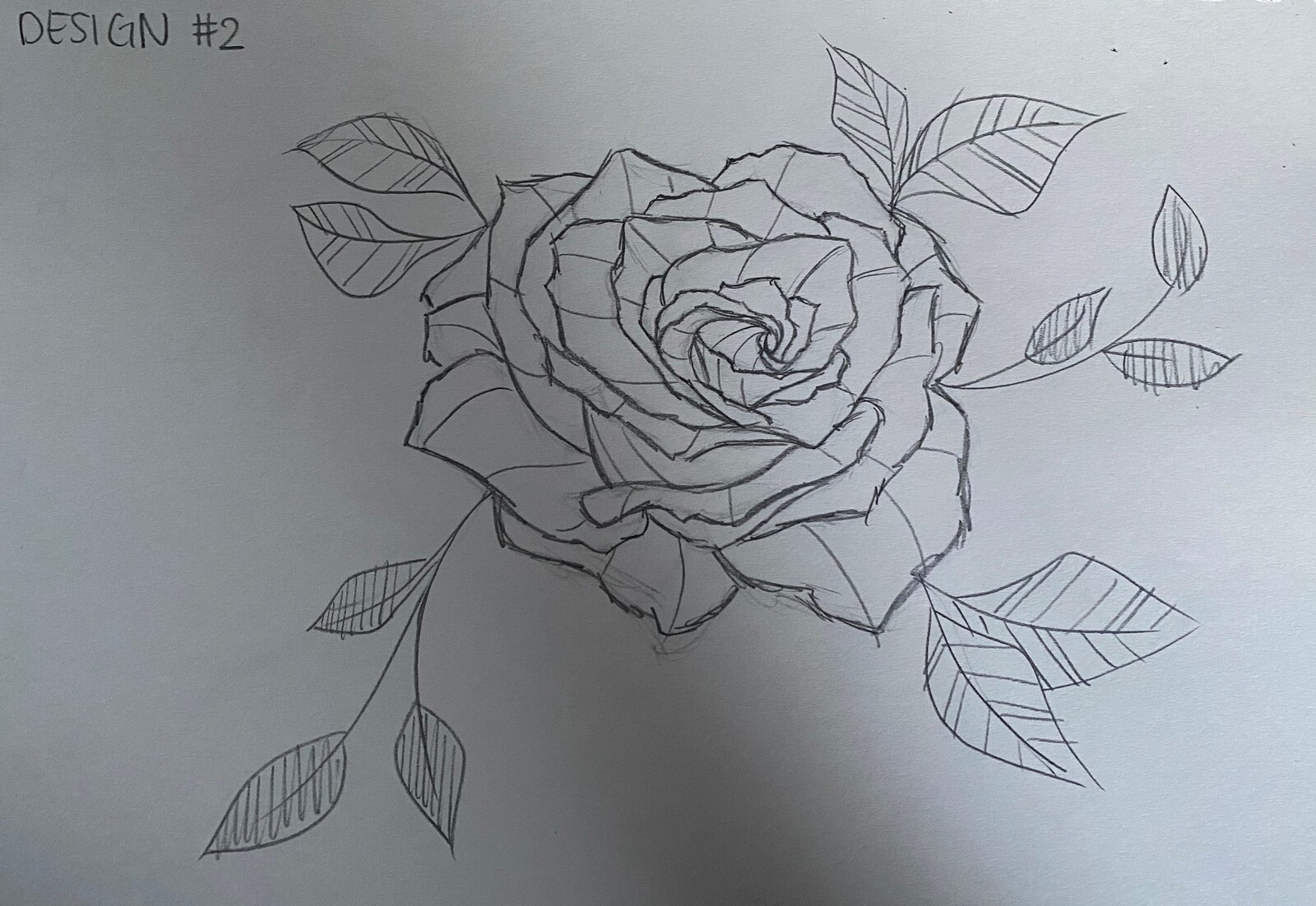 Sketch Rose