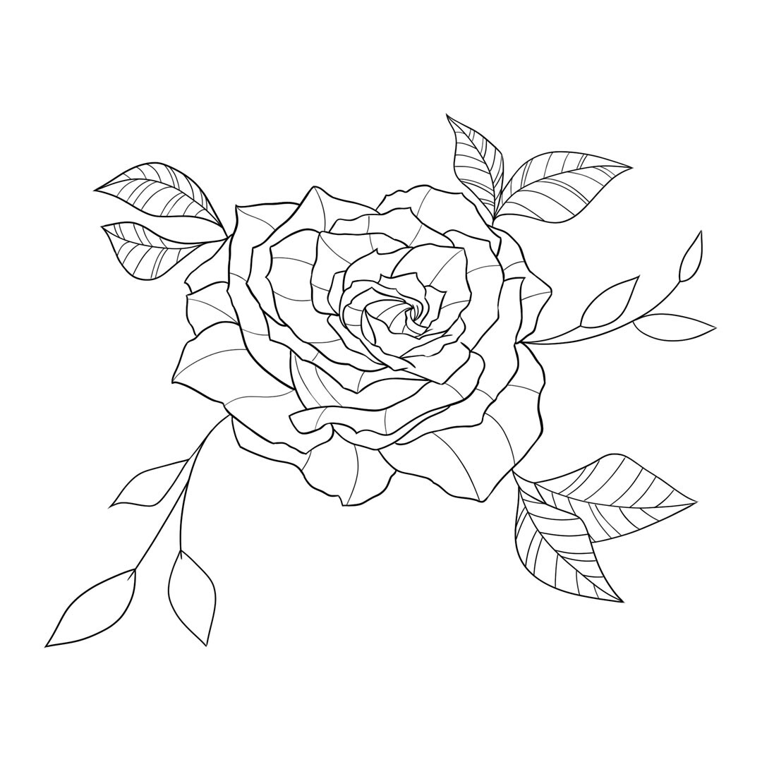 Lineart Rose