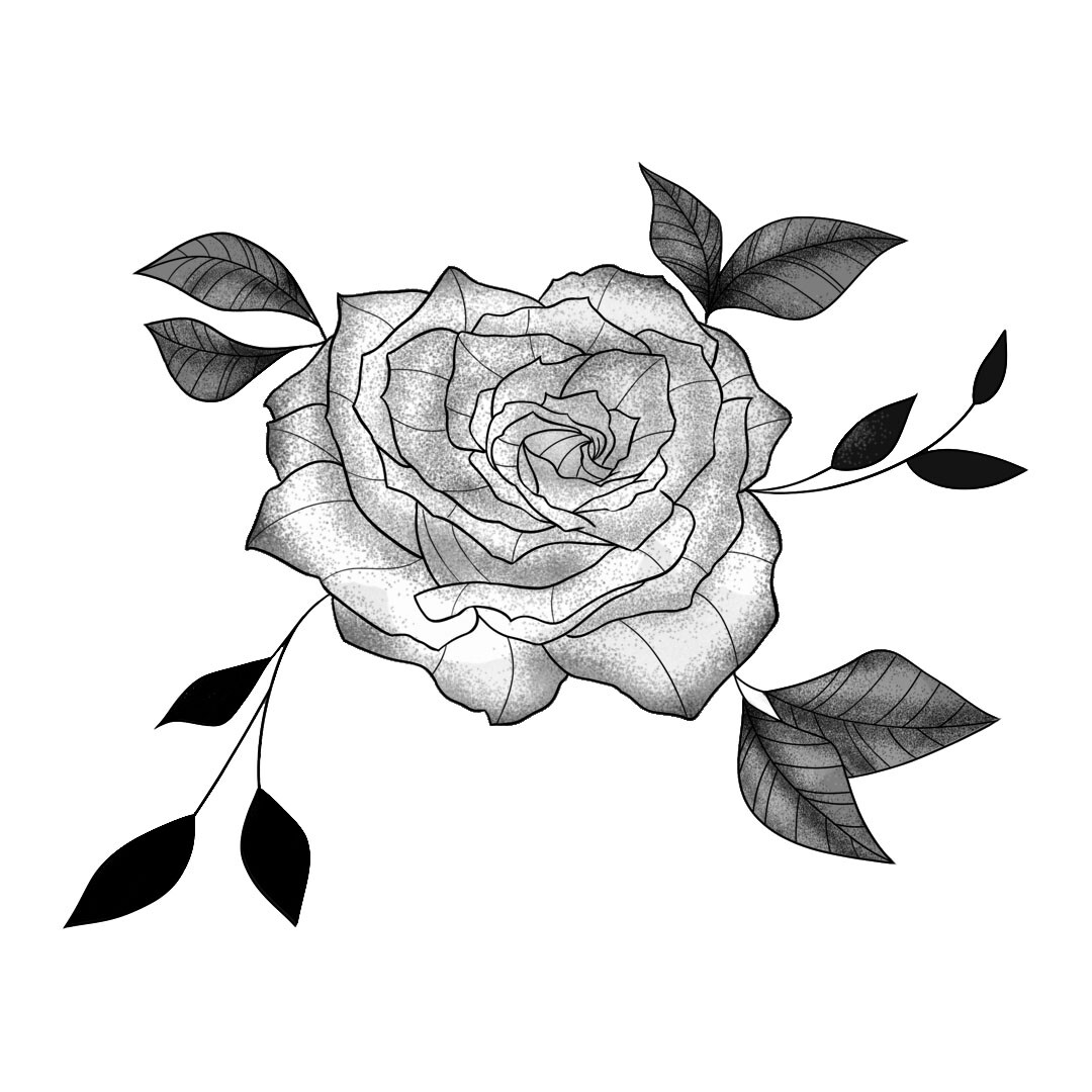 Shaded Rose