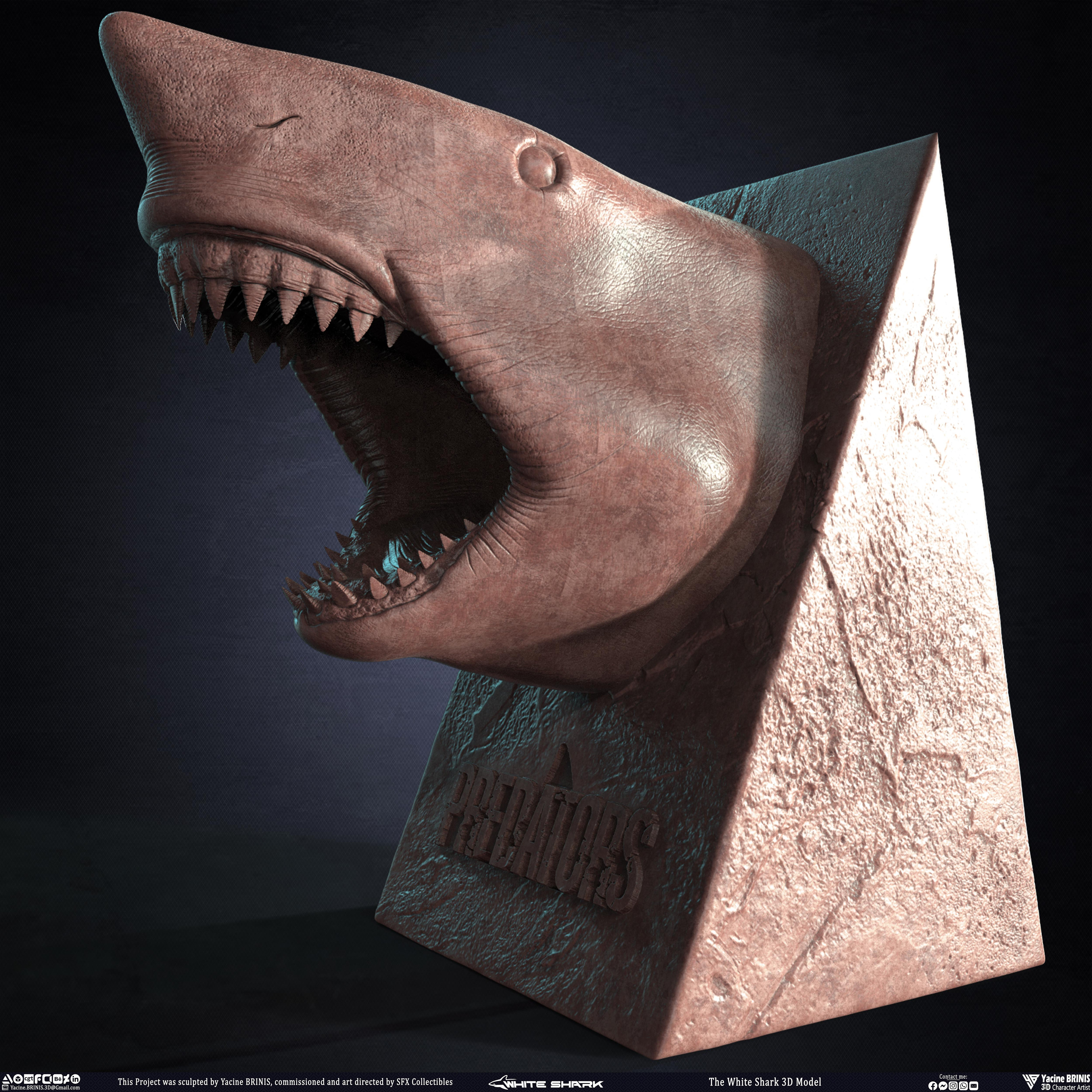 The White Shark Discovery sculpted by Yacine BRINIS 003