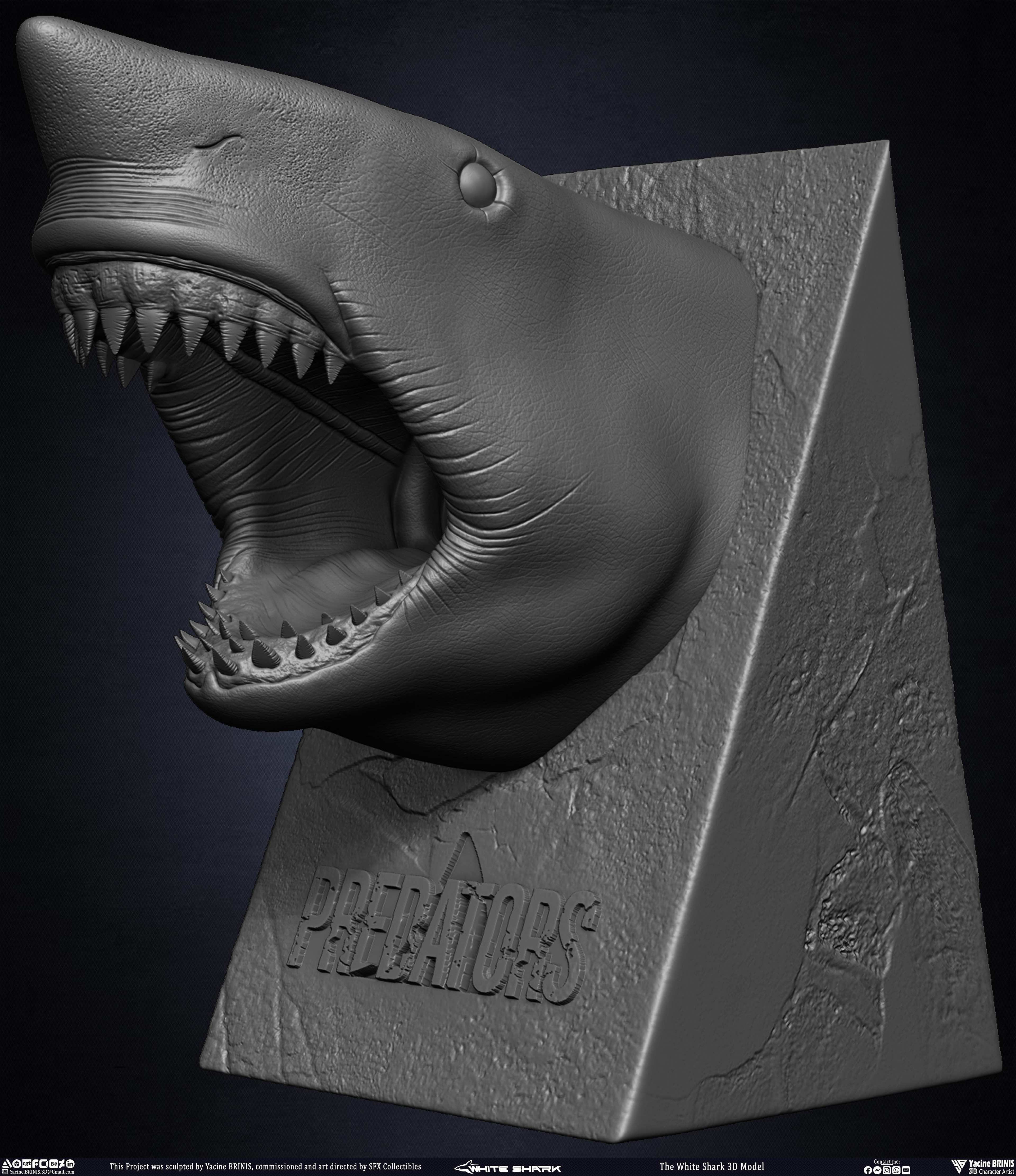The White Shark Discovery sculpted by Yacine BRINIS 006