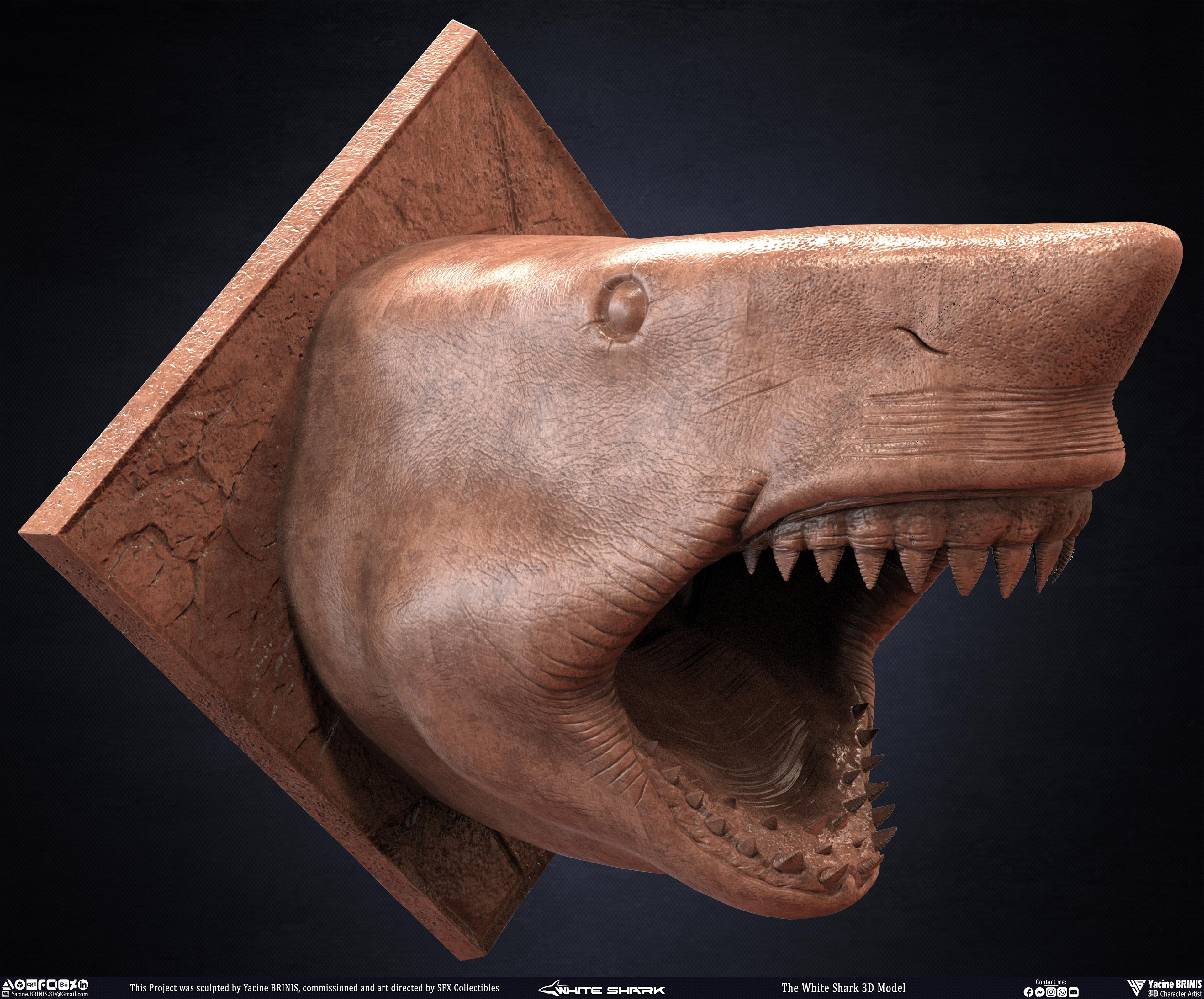 The White Shark Discovery sculpted by Yacine BRINIS 007