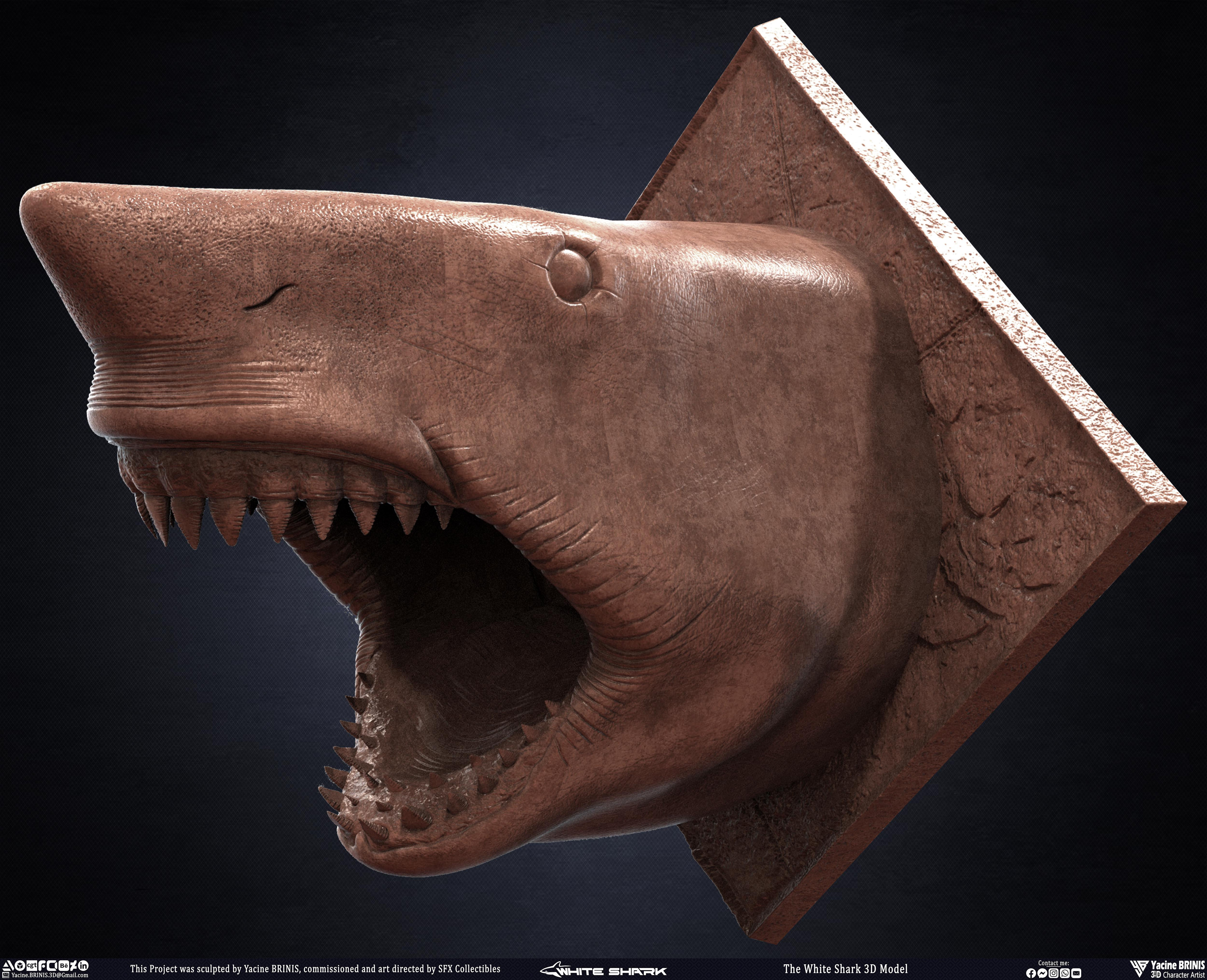 The White Shark Discovery sculpted by Yacine BRINIS 008