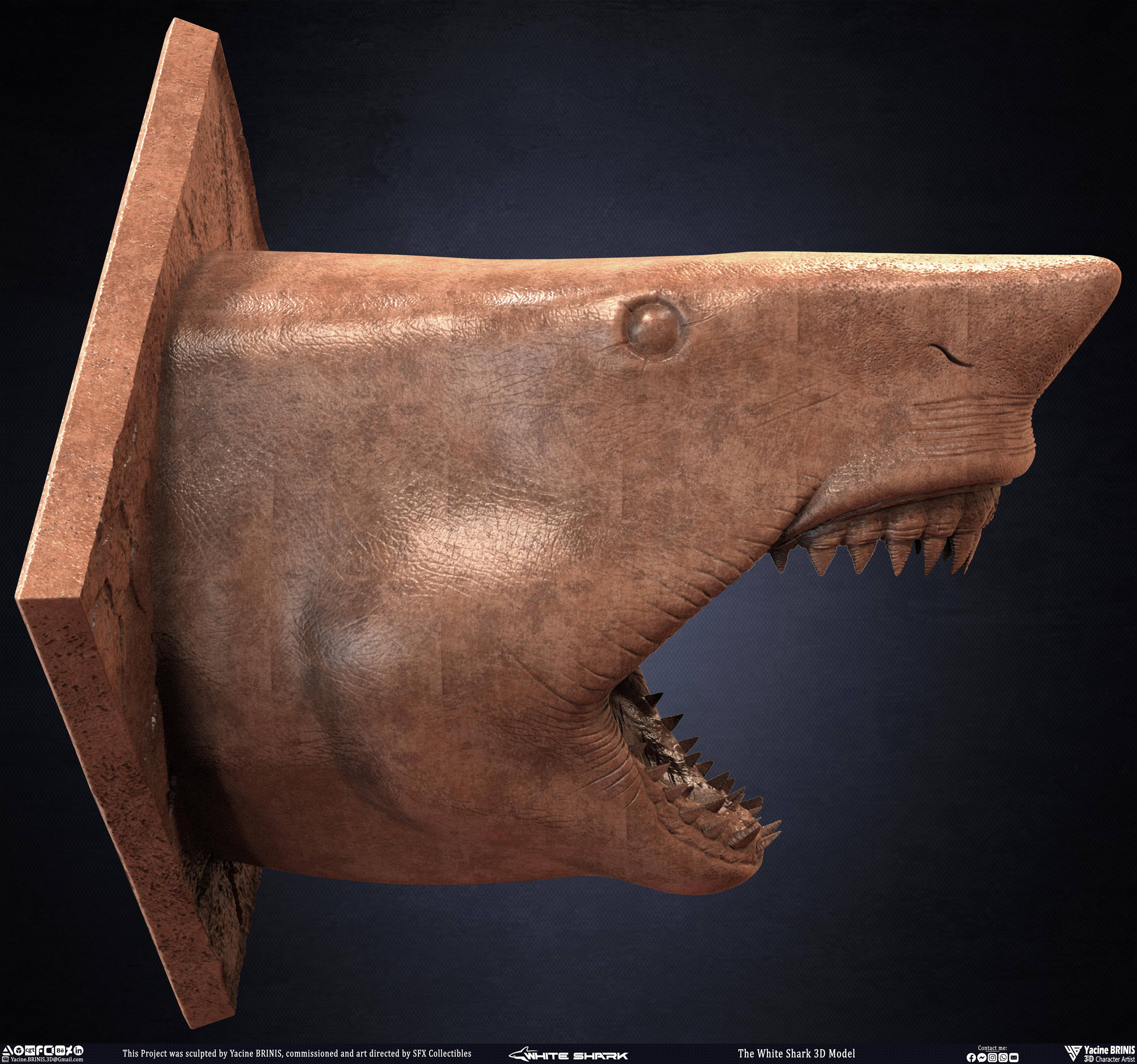 The White Shark Discovery sculpted by Yacine BRINIS 009