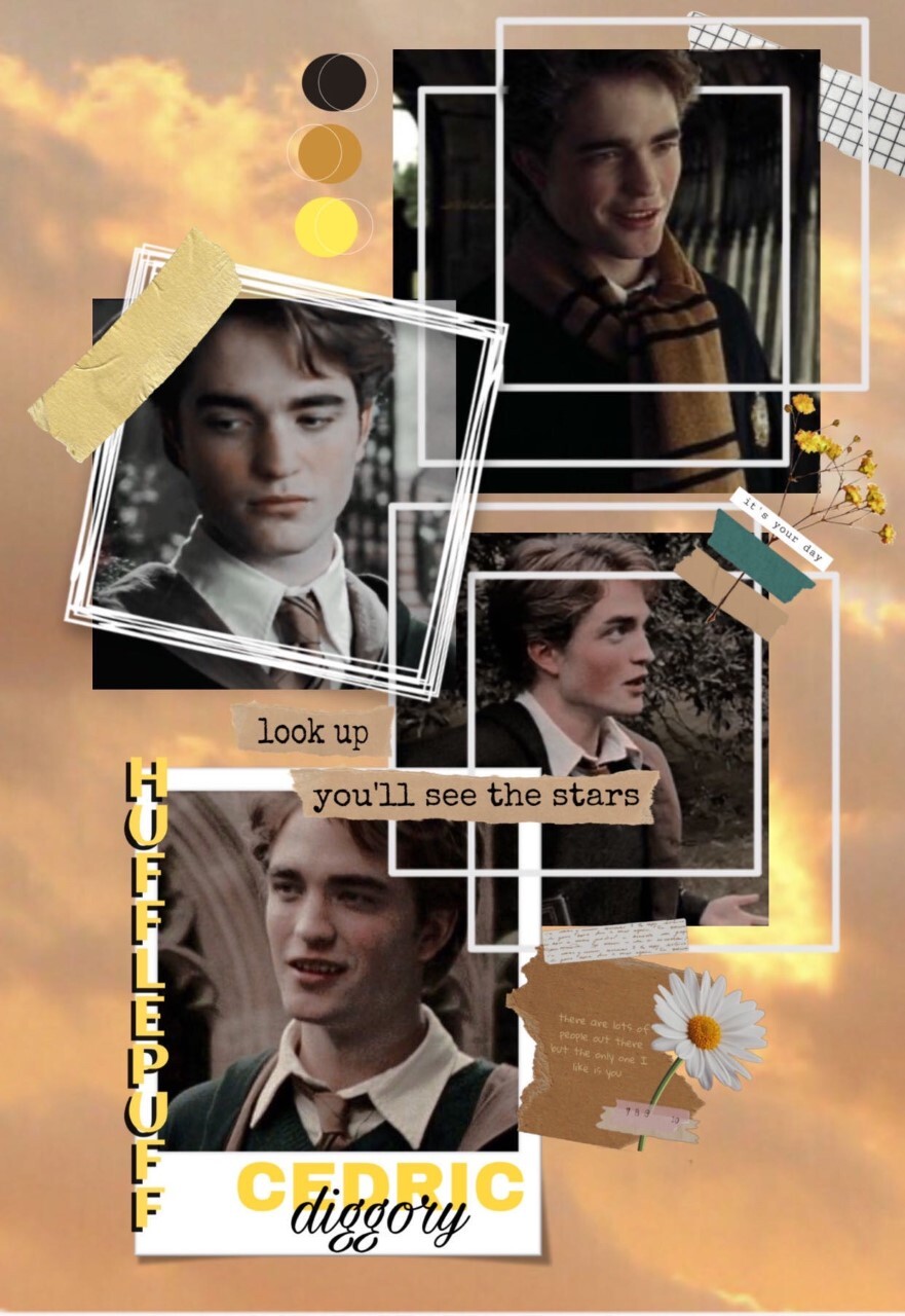 Cedric Diggory  Cedric diggory Cedric diggory  Harry potter characters  HD phone wallpaper  Pxfuel