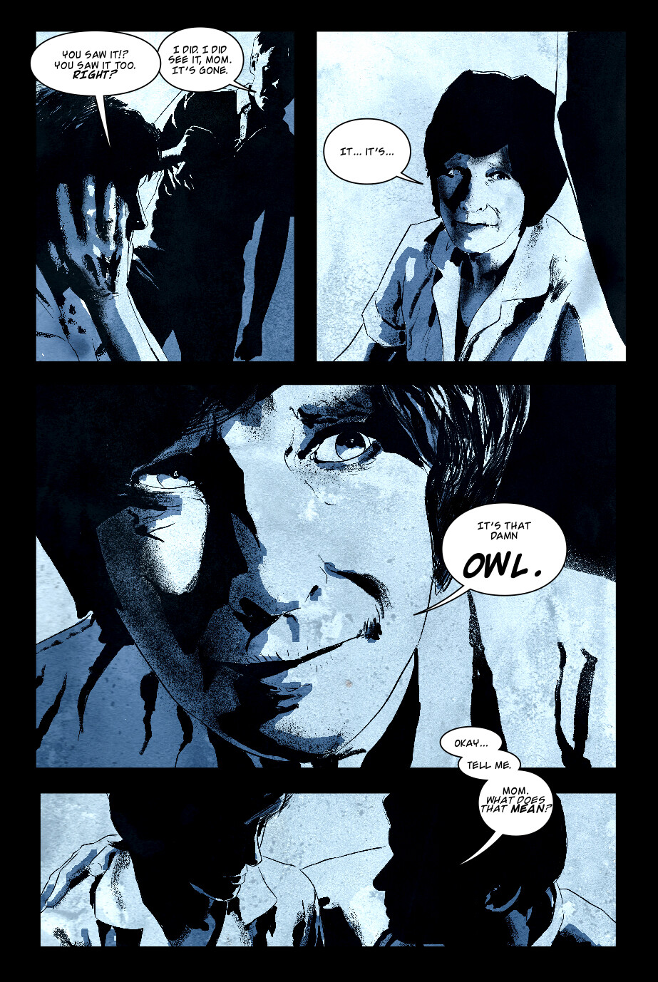 Snow Owl Page 