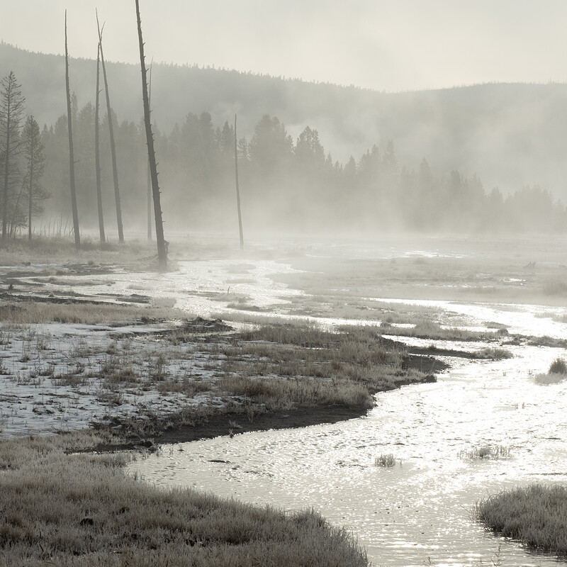 Misty morning in Yellowstone NP