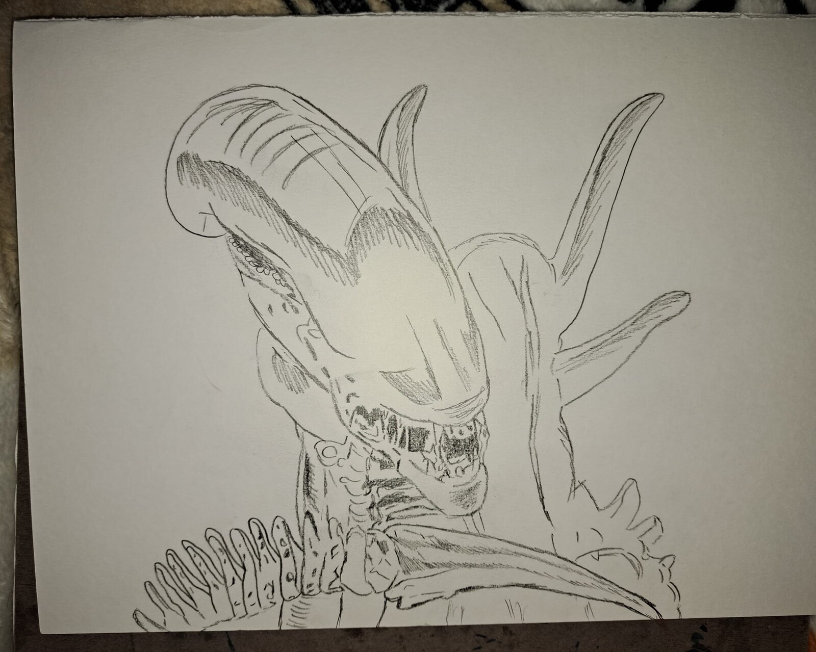 Quick loose sketch