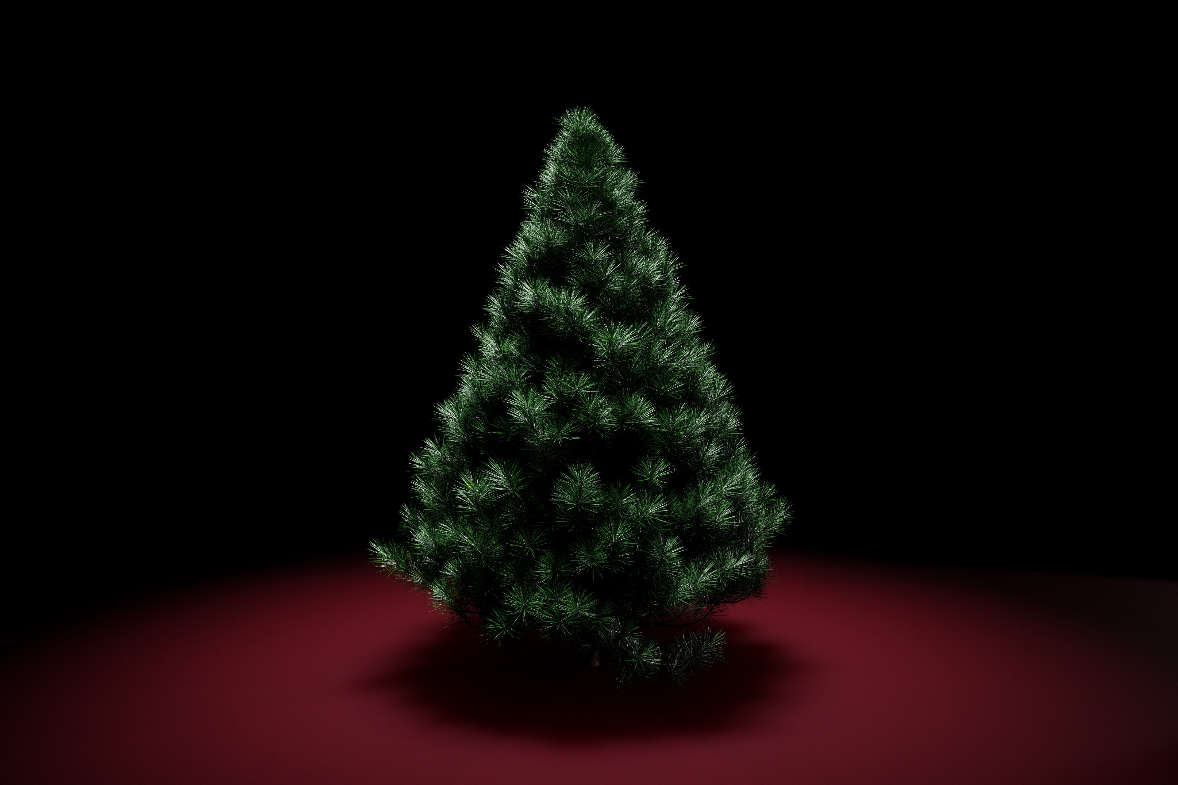 a pine