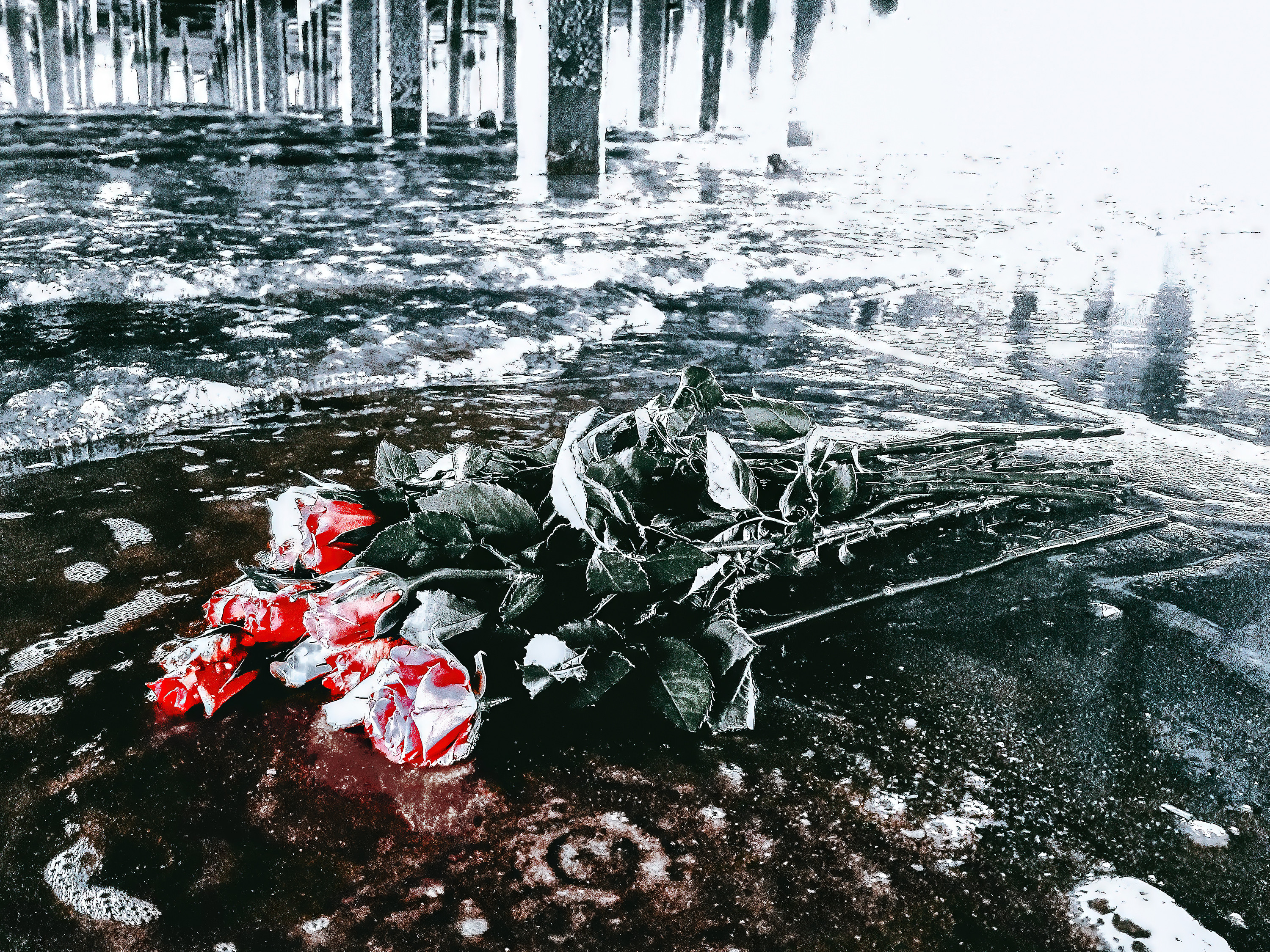 Final Image at 25% Original