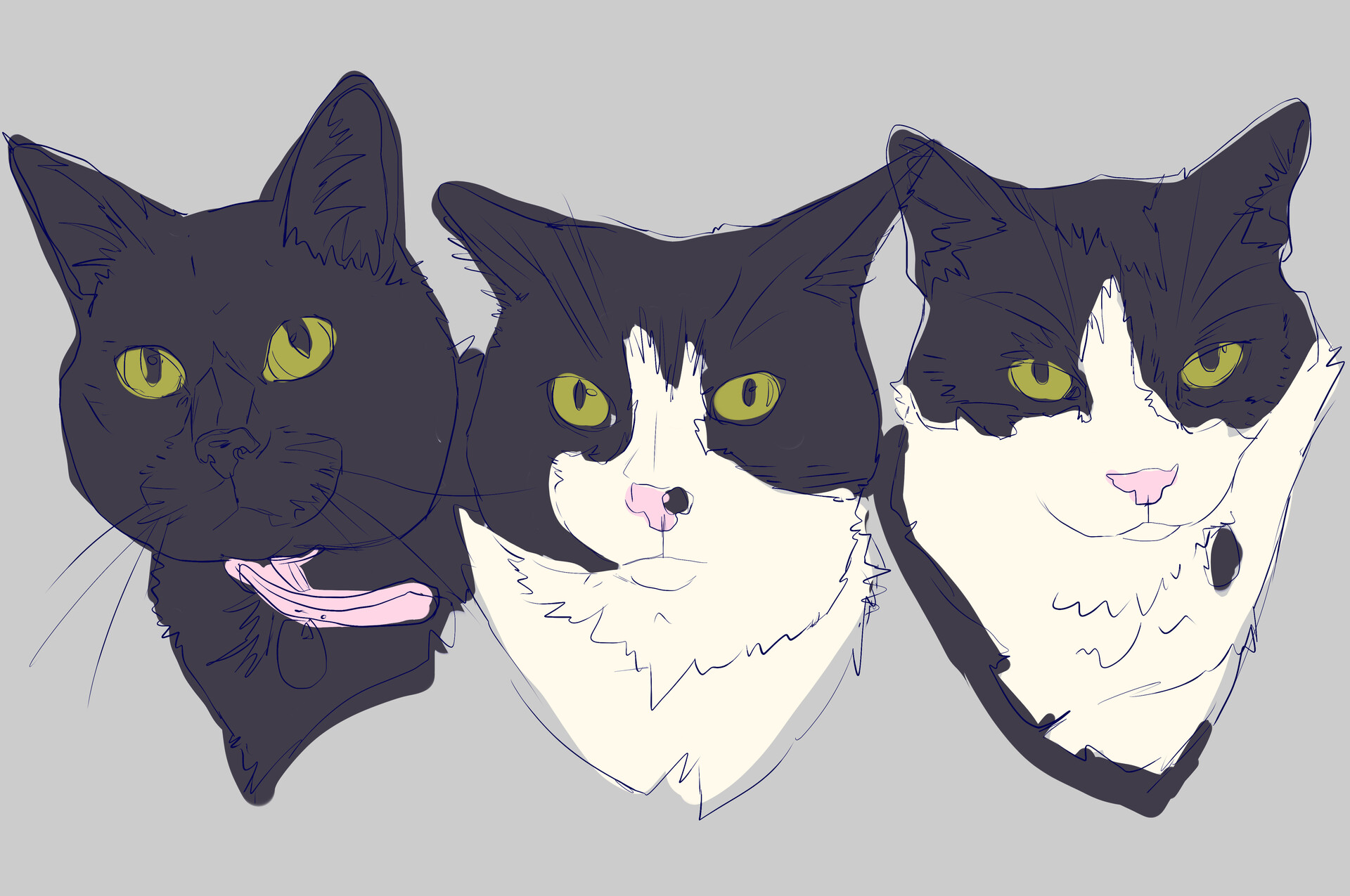 Izzie Staines (Grizarts) Three Musketeers Cat Commission