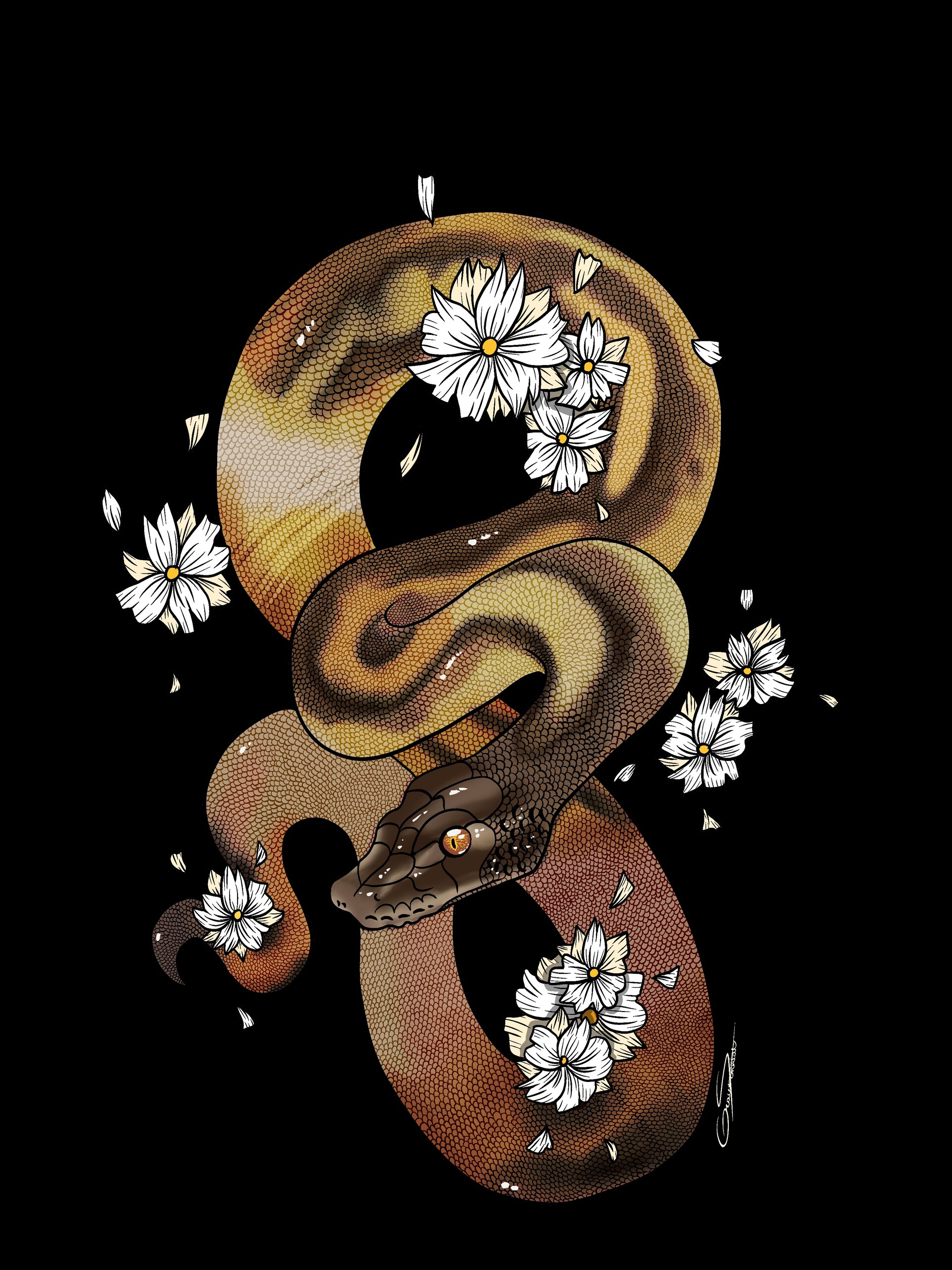 ArtStation - Ball Python