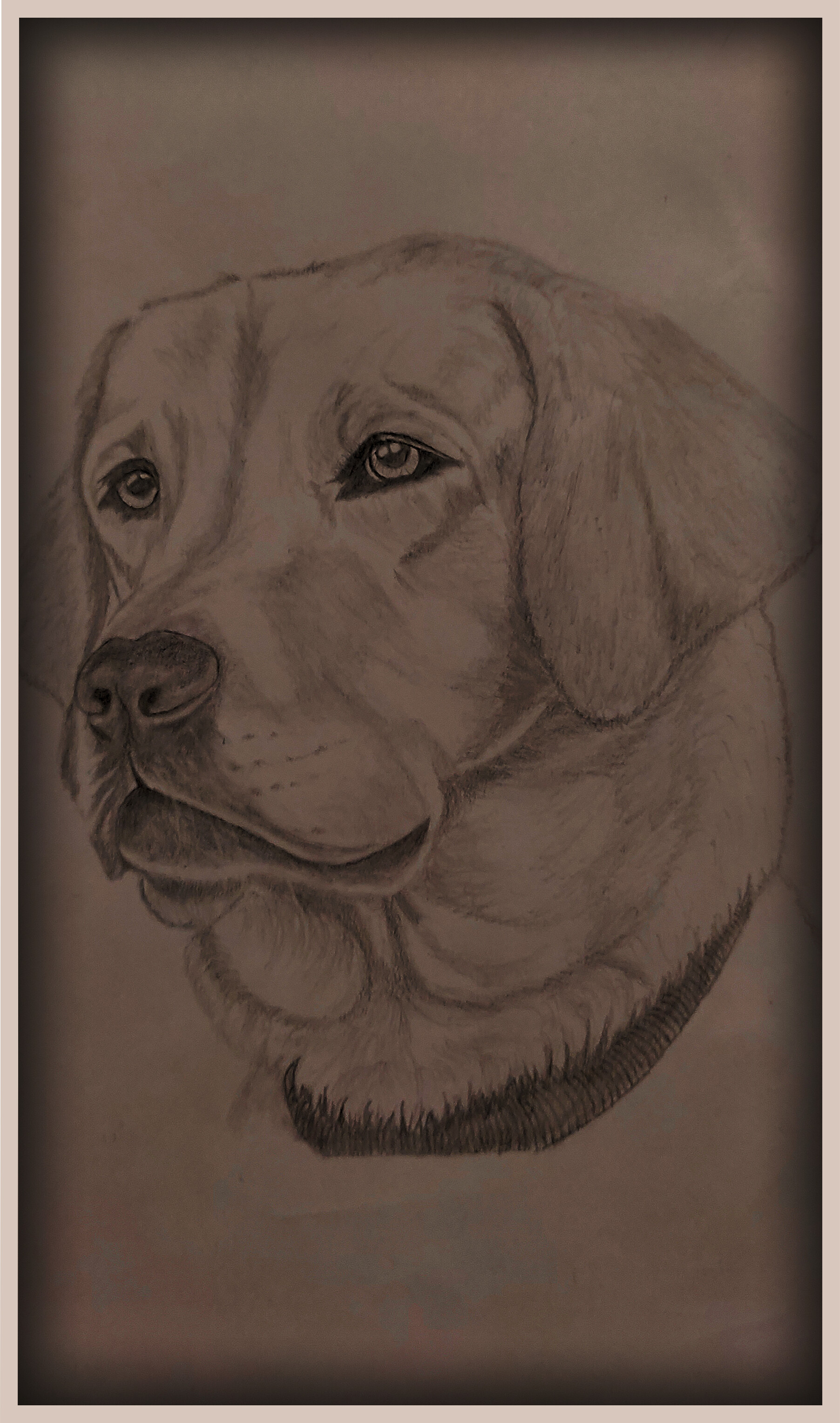 Personalised Pet Portrait Sketch By Letterfest | notonthehighstreet.com
