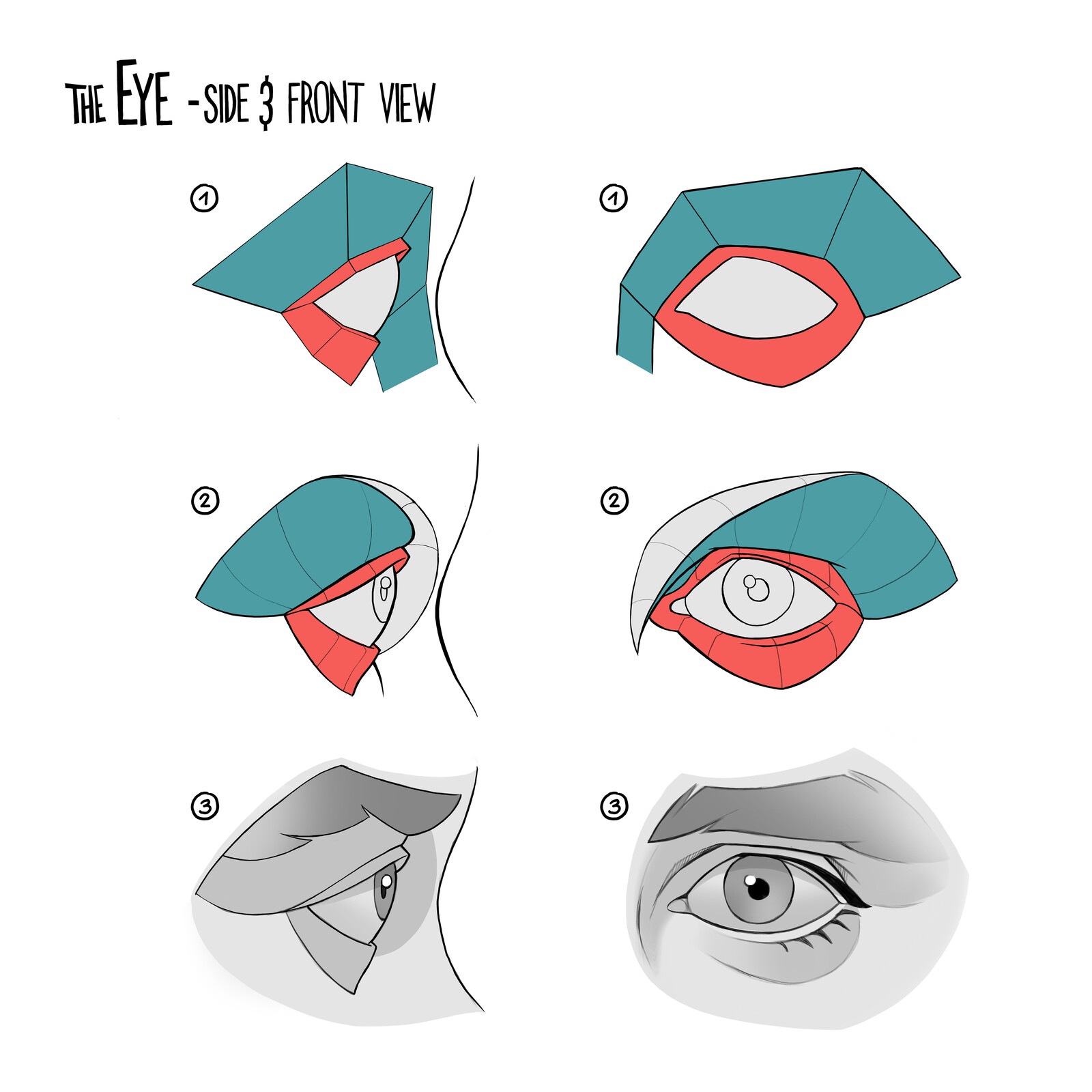 Understanding the Eye. 