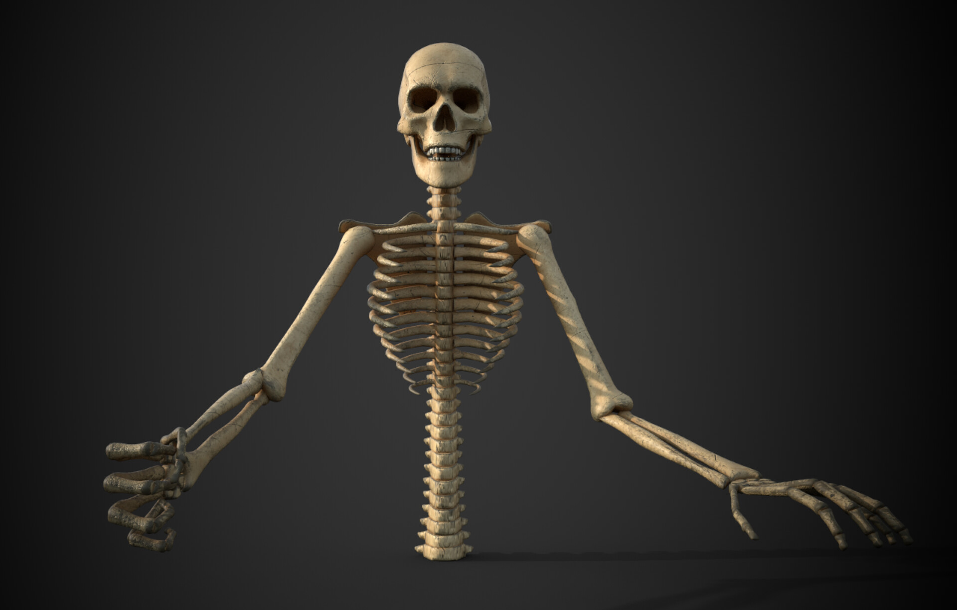 ArtStation - Skeleton model
