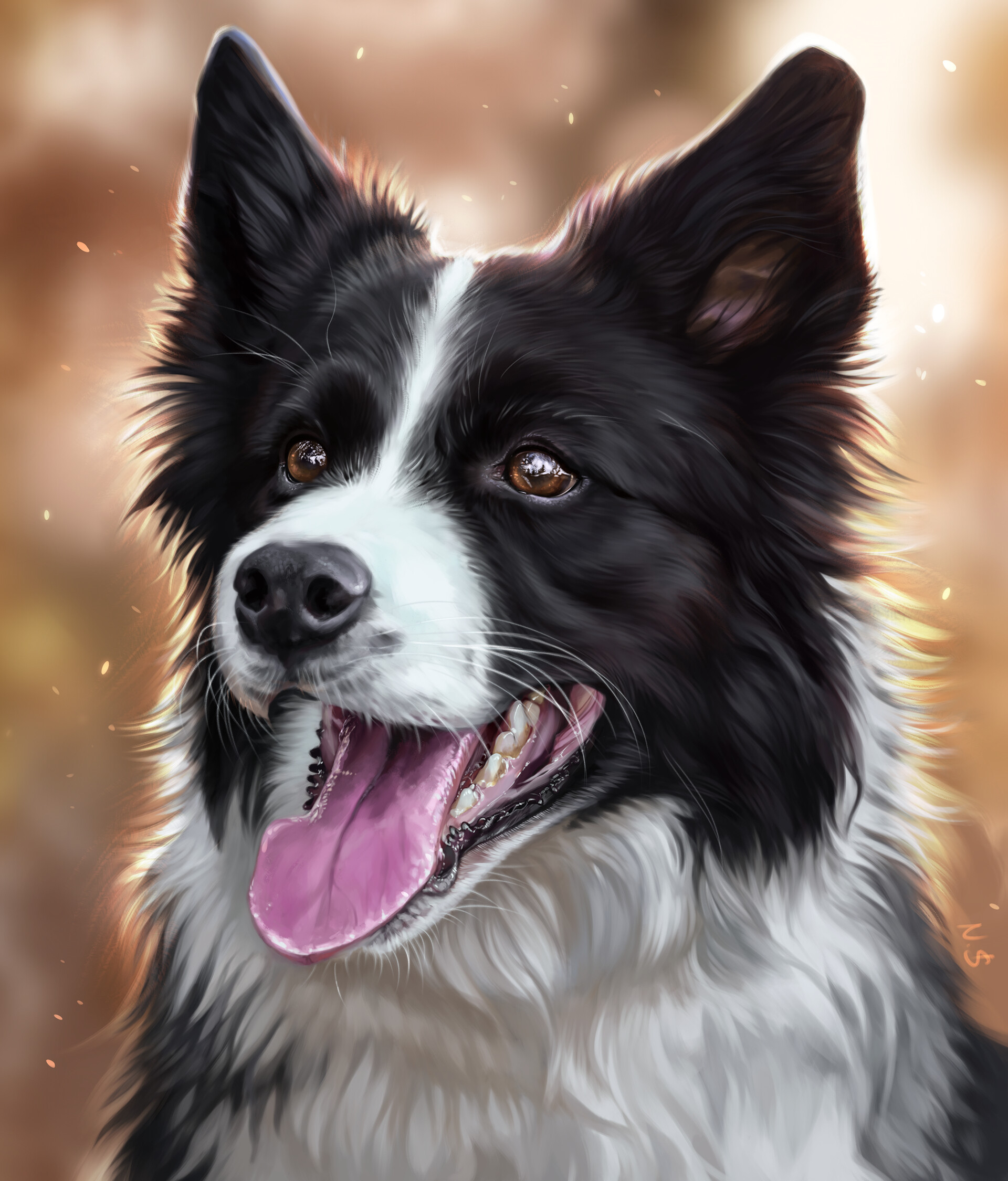 ArtStation Border Collie Portrait