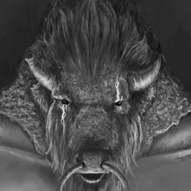 Bison Shaman