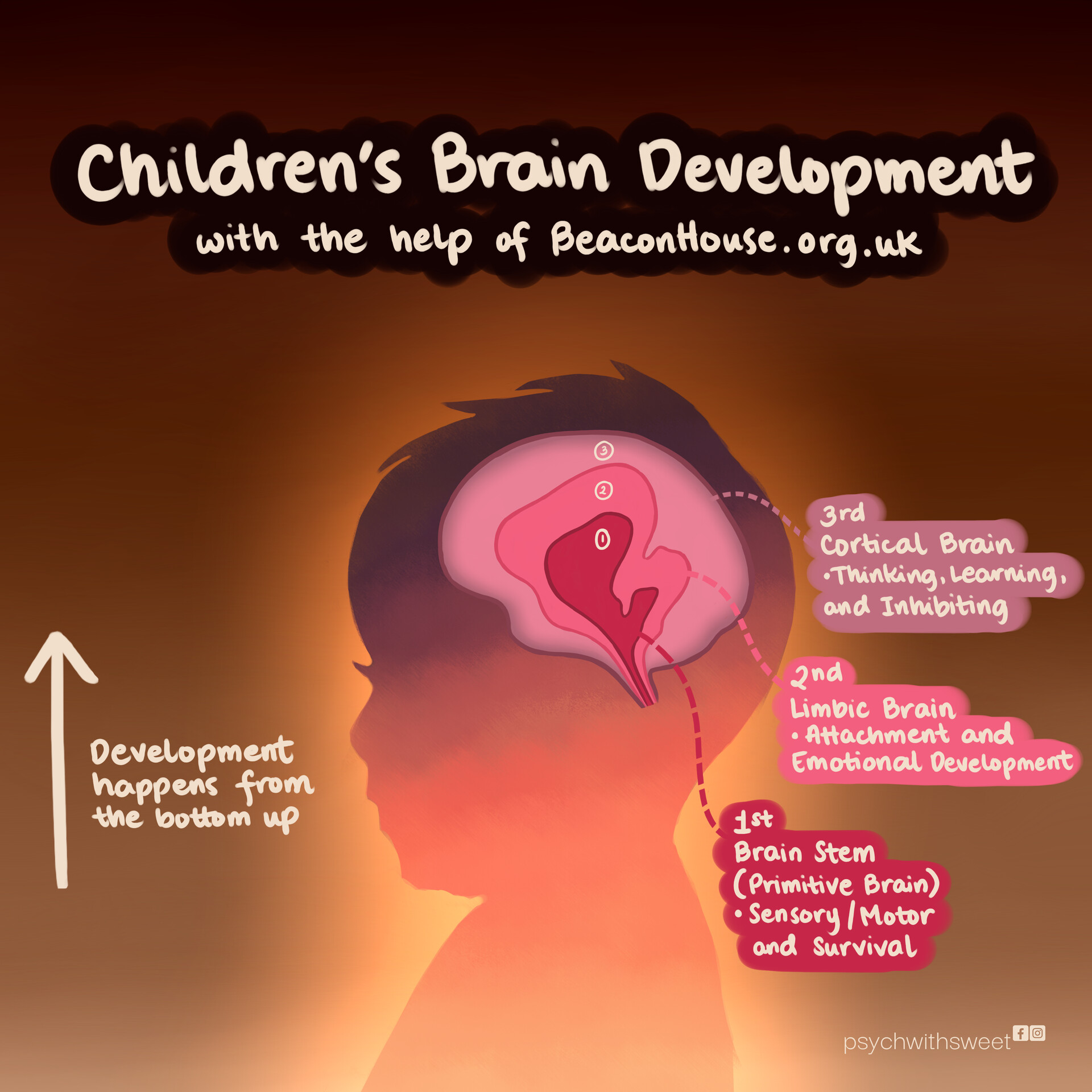 How Does Reading Promote Brain Development