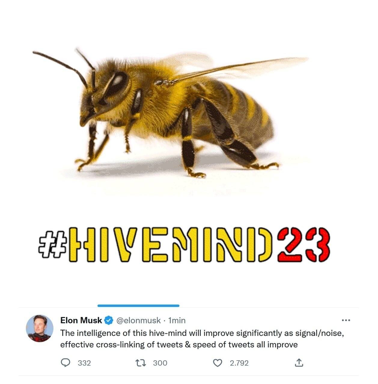 https://www.hivemind23.com/