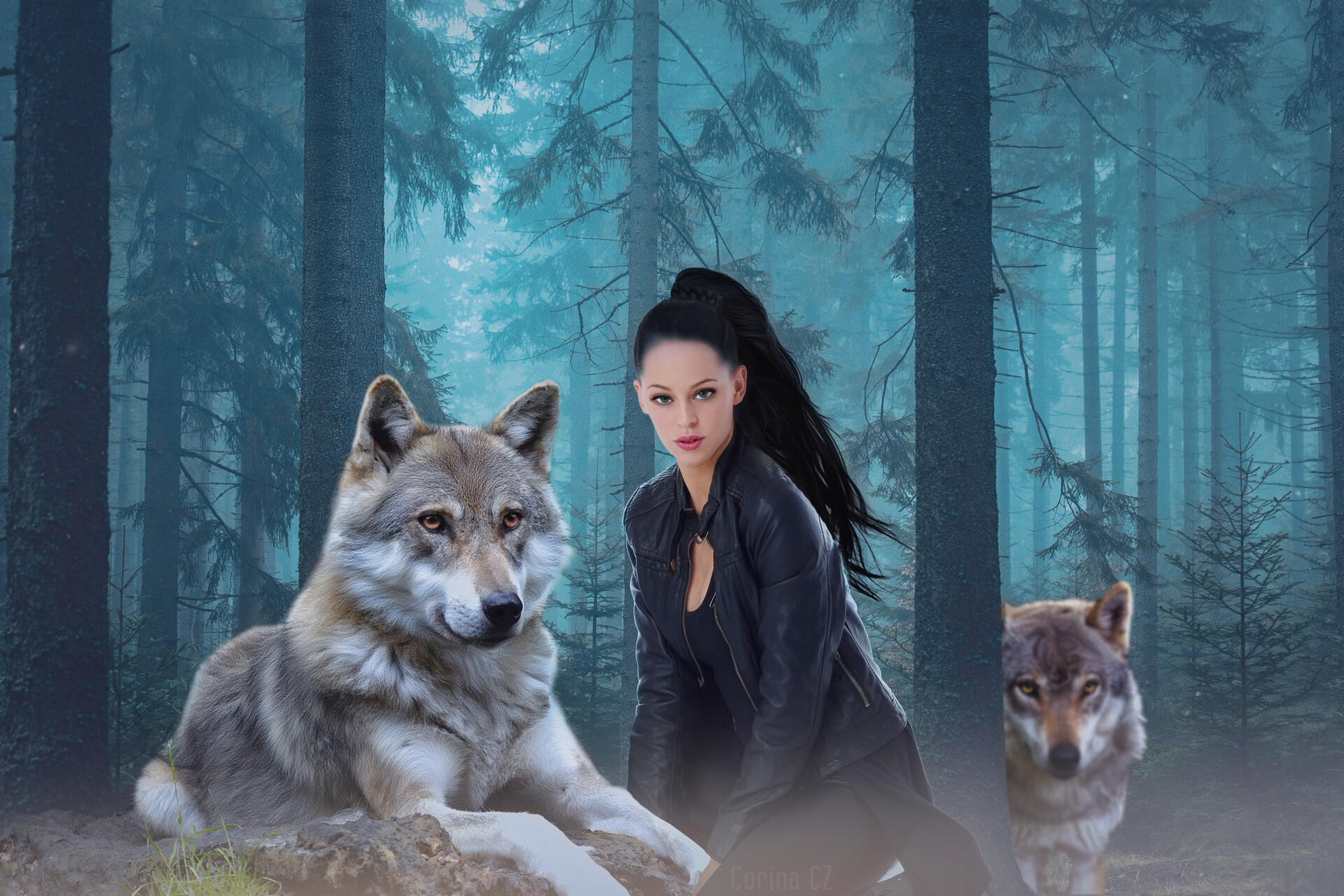 ArtStation Land of wolves