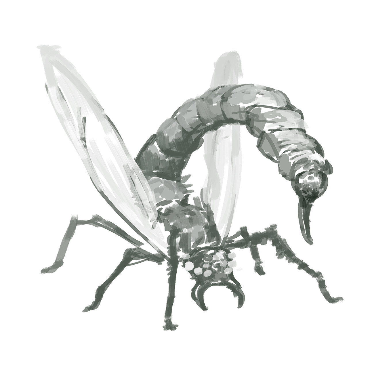 Preliminary Sketch